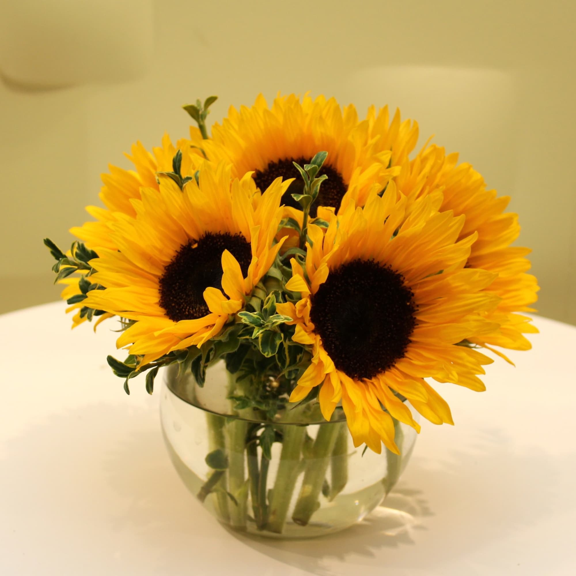 Bouquet of yellow sunflowers in a clear glass vase