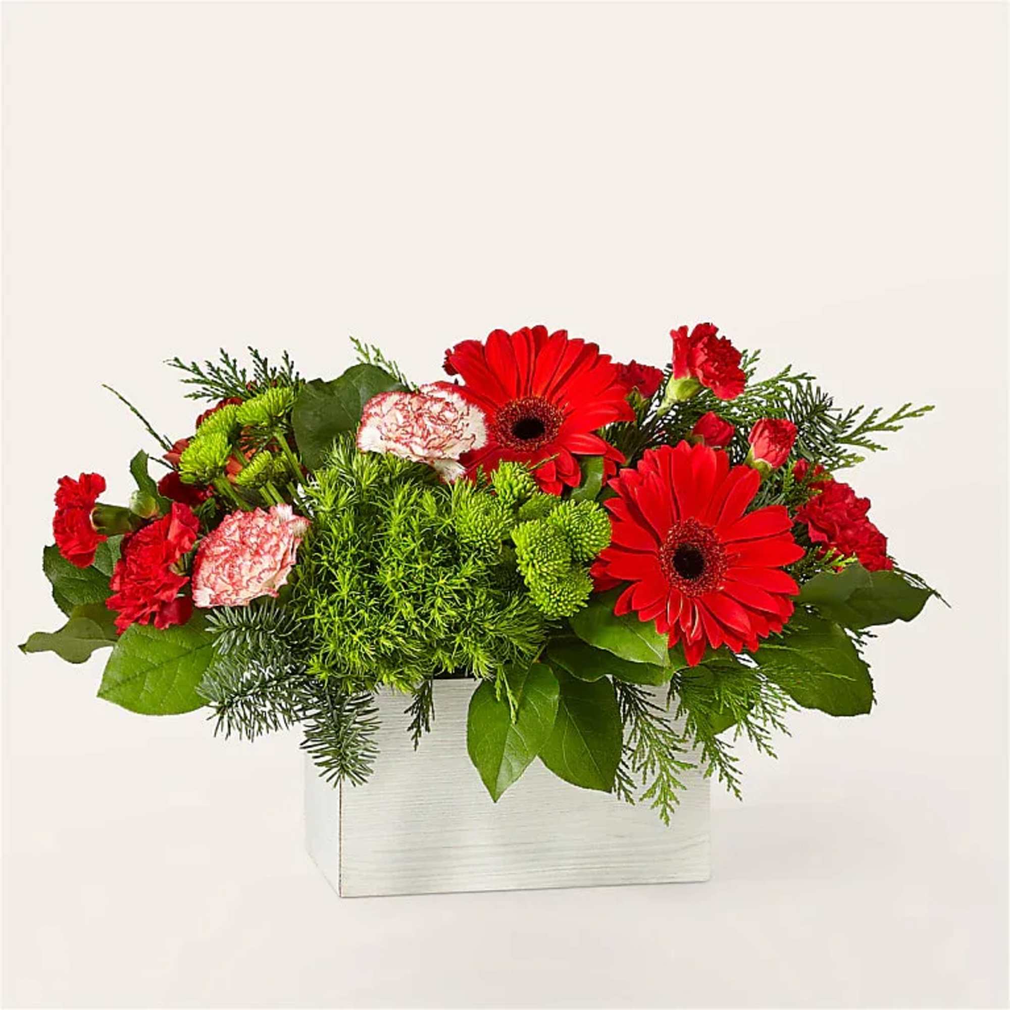 Red gerbera daisies and carnations in a white rectangular box