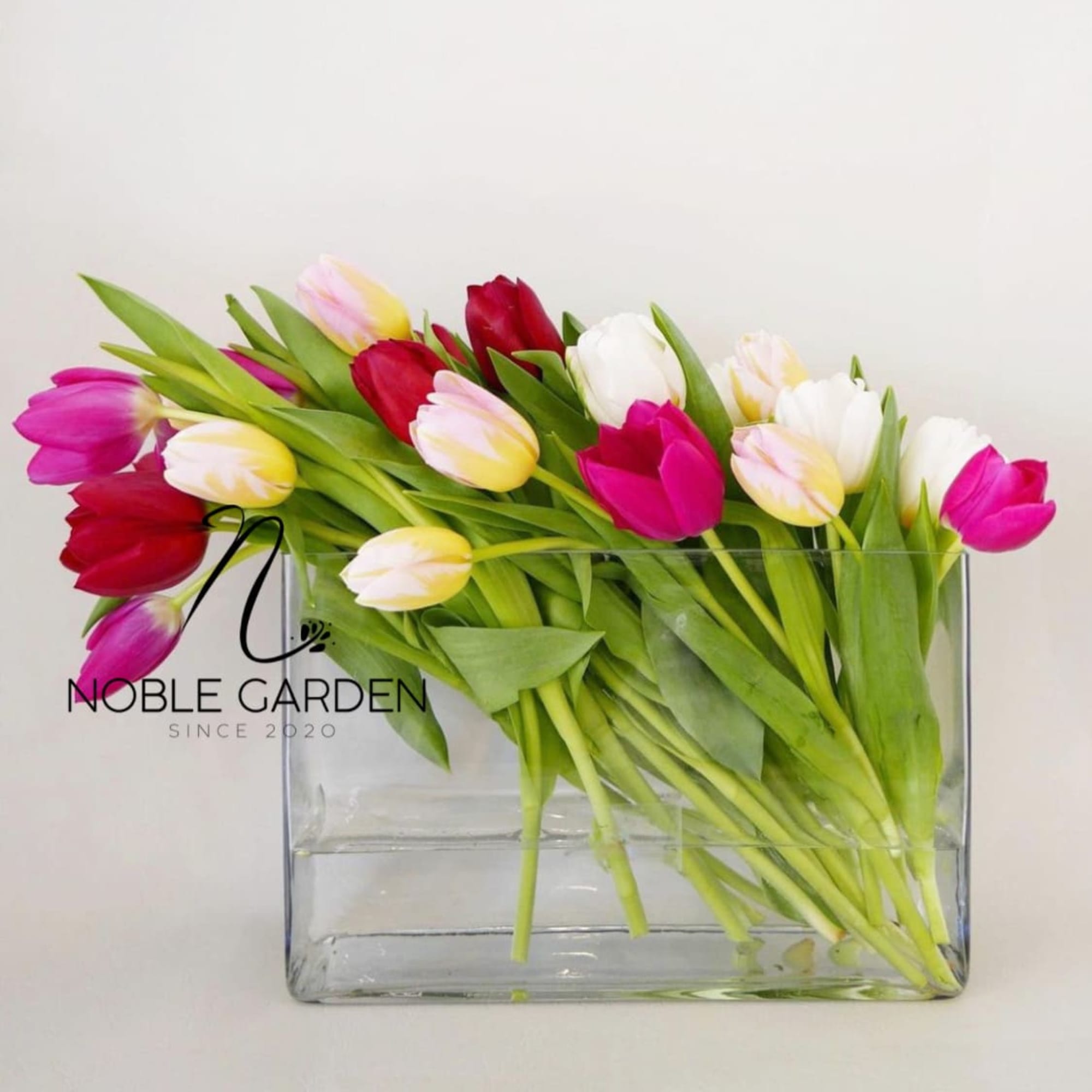 Mixed tulips in a clear rectangular vase