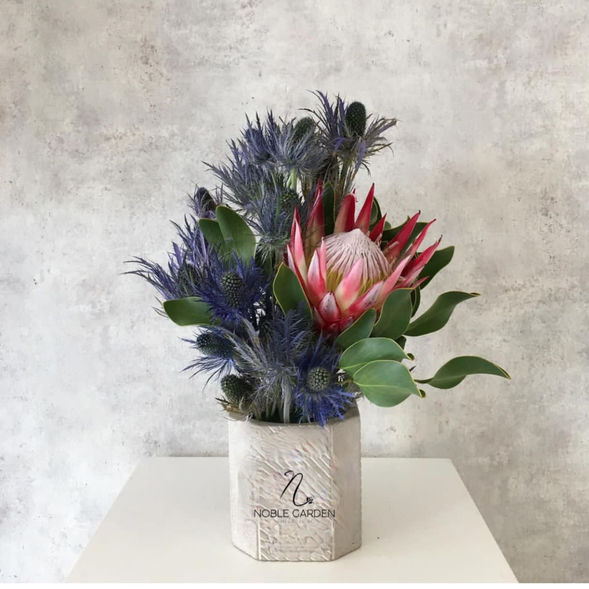 Protea arrangement with blue thistle in a white container