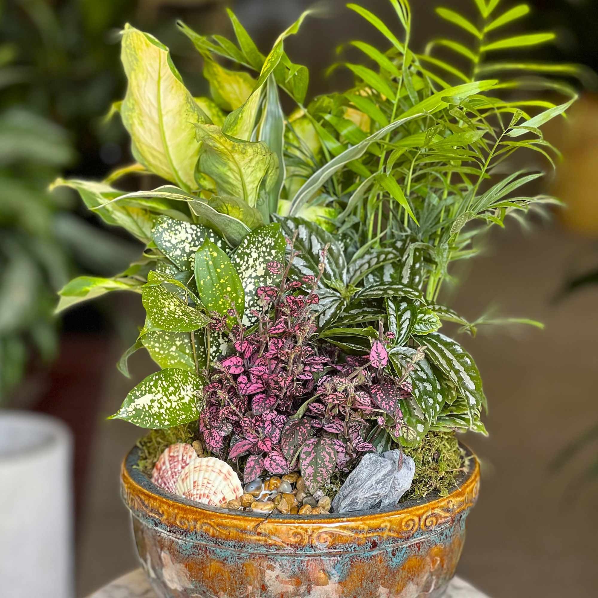 Mixed potted foliage arrangement in a decorative ceramic bowl