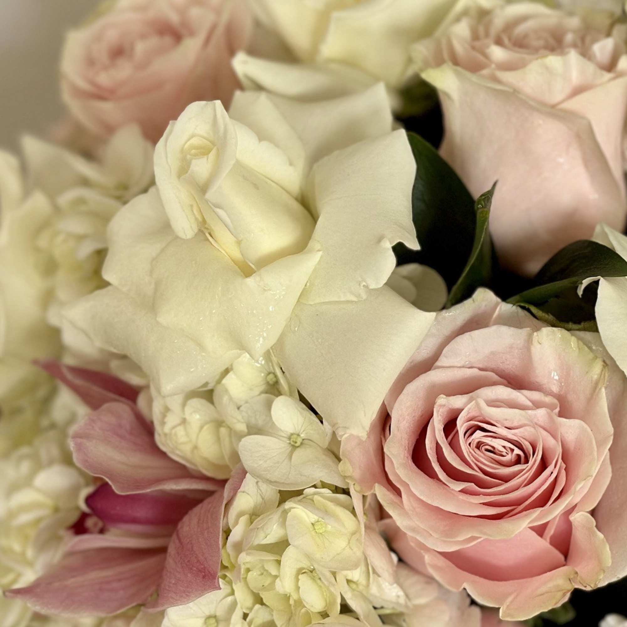 Close-up bouquet of pale pink and white roses with cream flowers