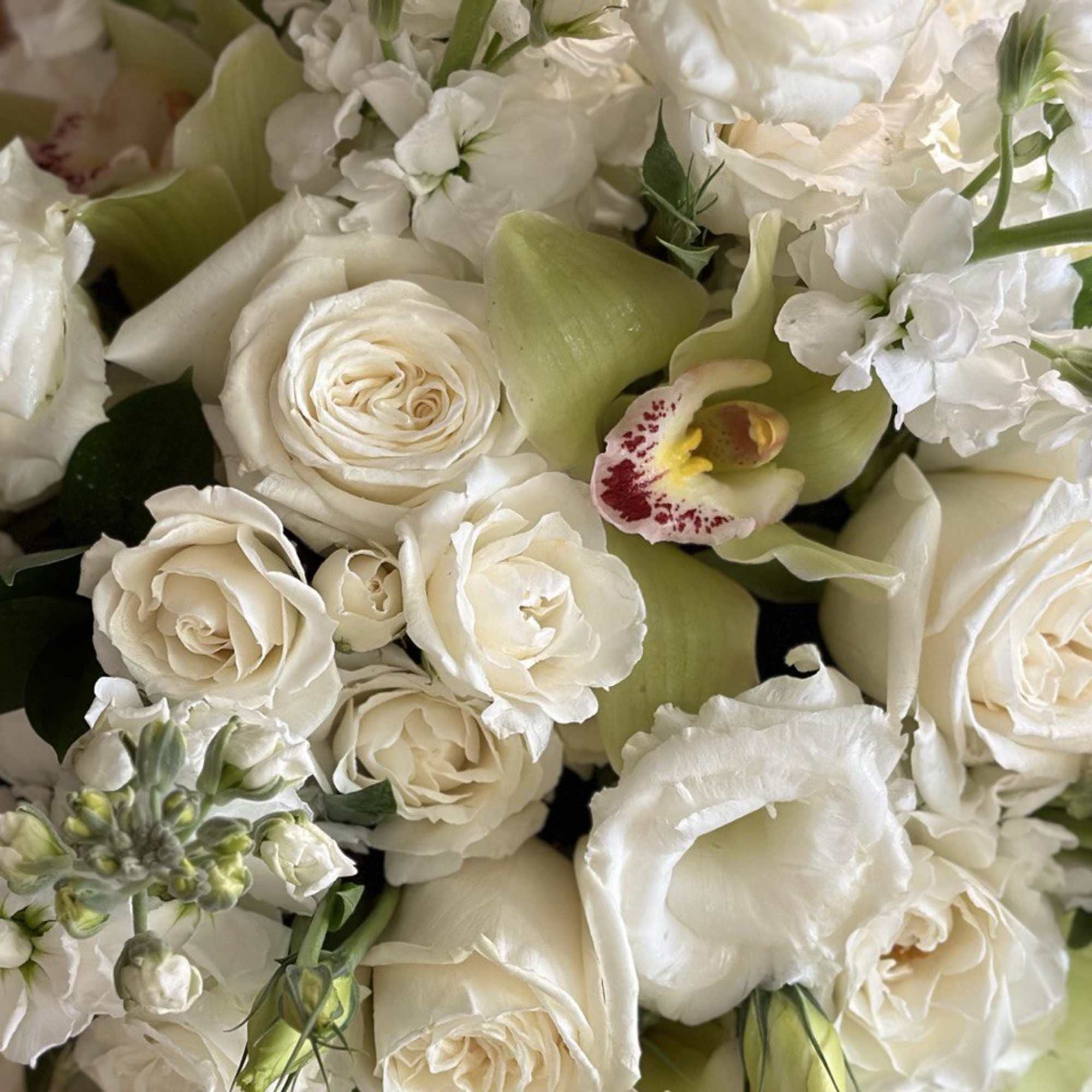 White roses and orchids arranged with pale green blooms