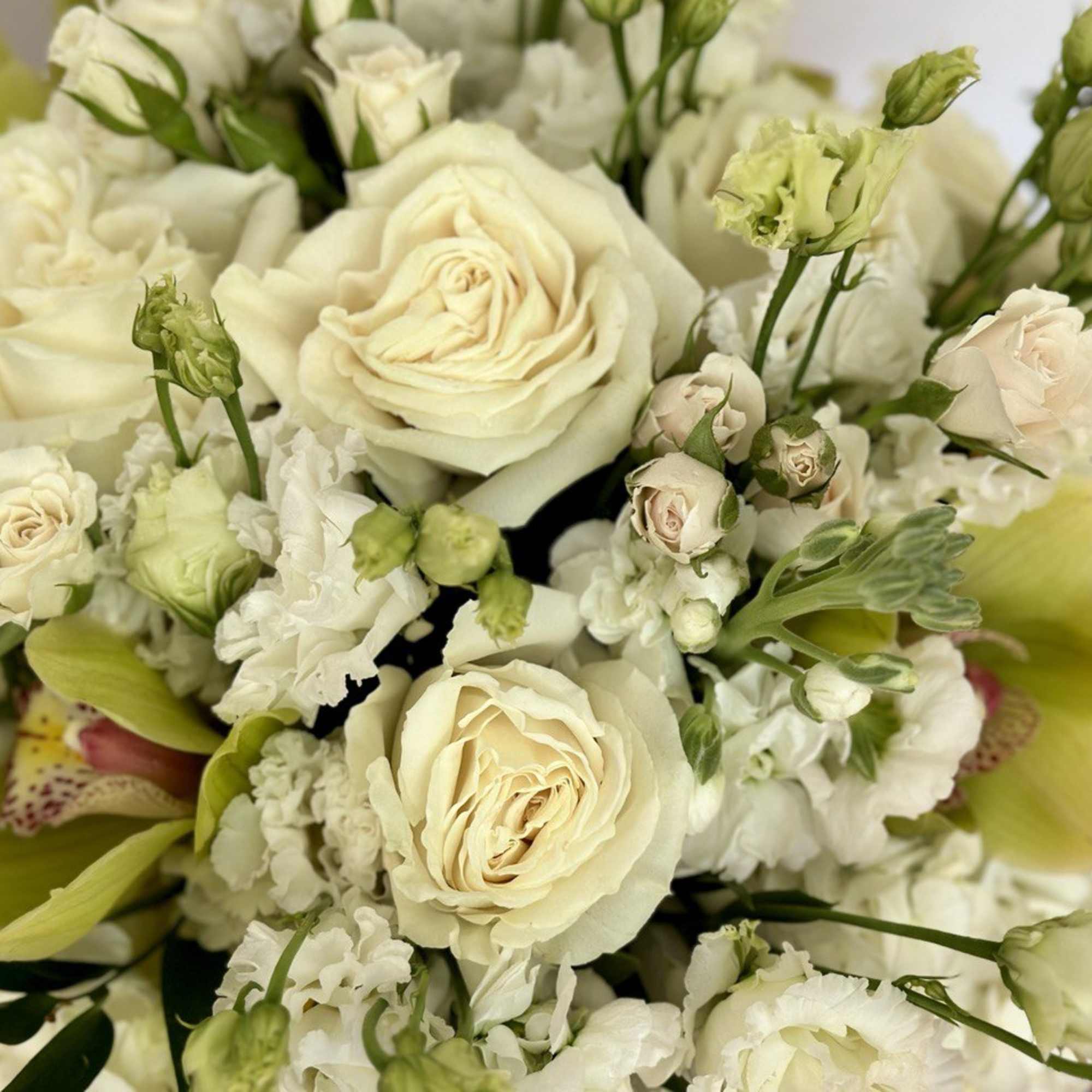 Cream roses and white flowers arranged in a dense bouquet
