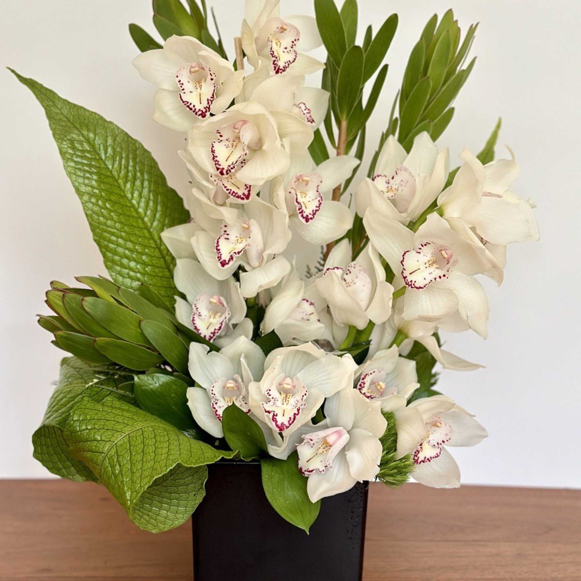 Arrangement of white orchids with burgundy centers and large green leaves in a black cube vase