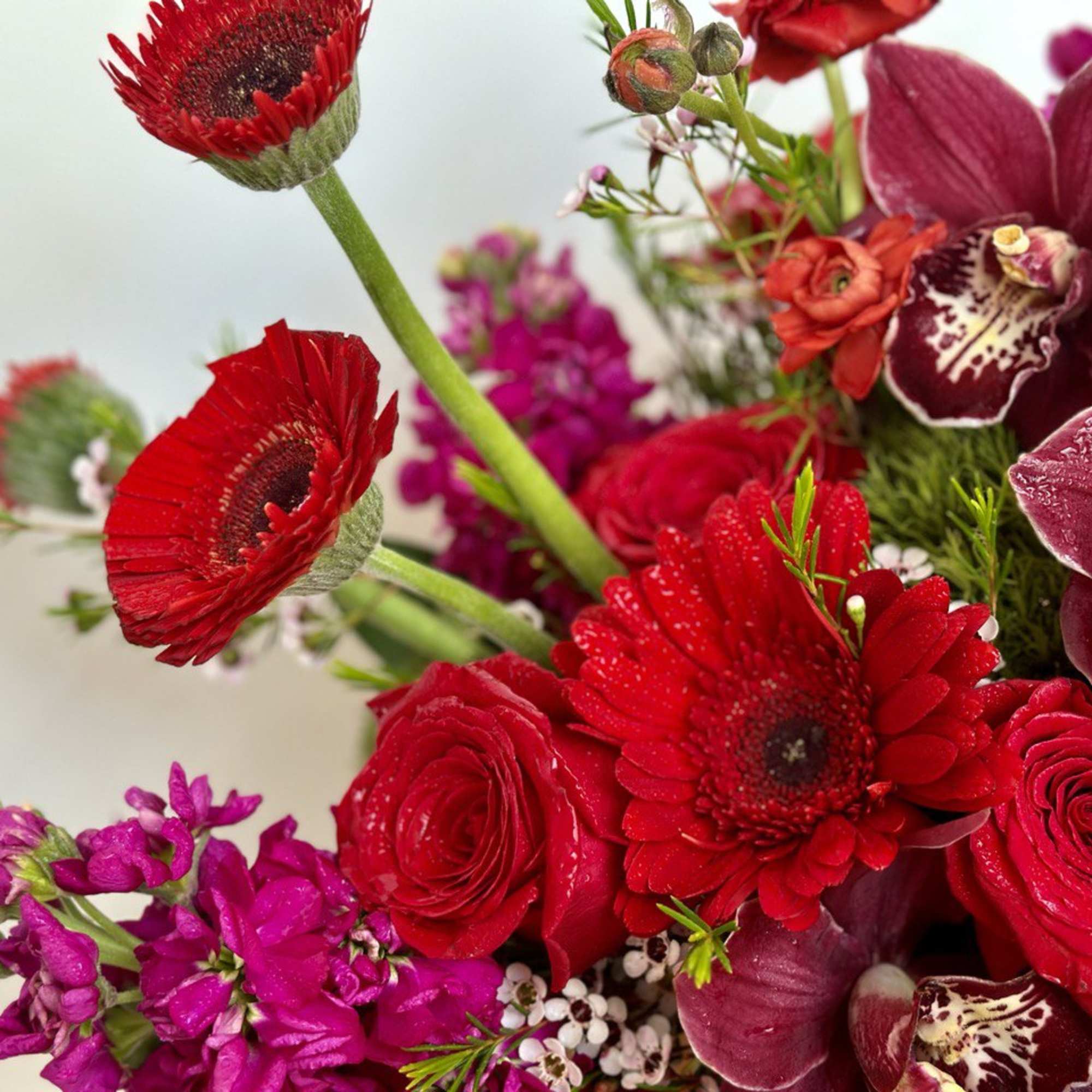 Bouquet of red gerbera daisies, roses, and purple orchids