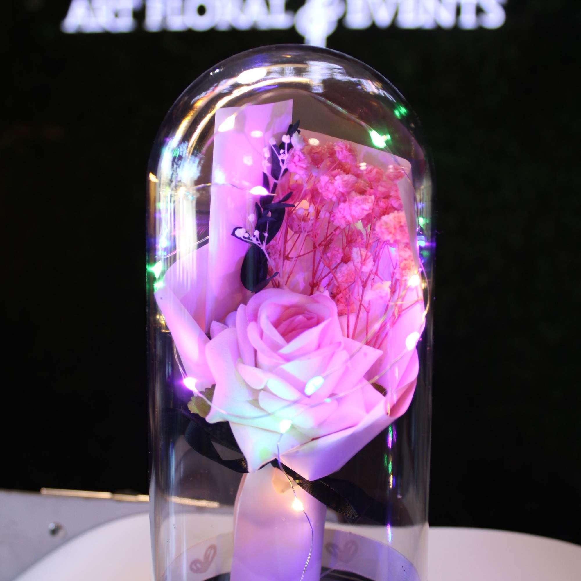 Pink rose under a clear glass dome with fairy lights