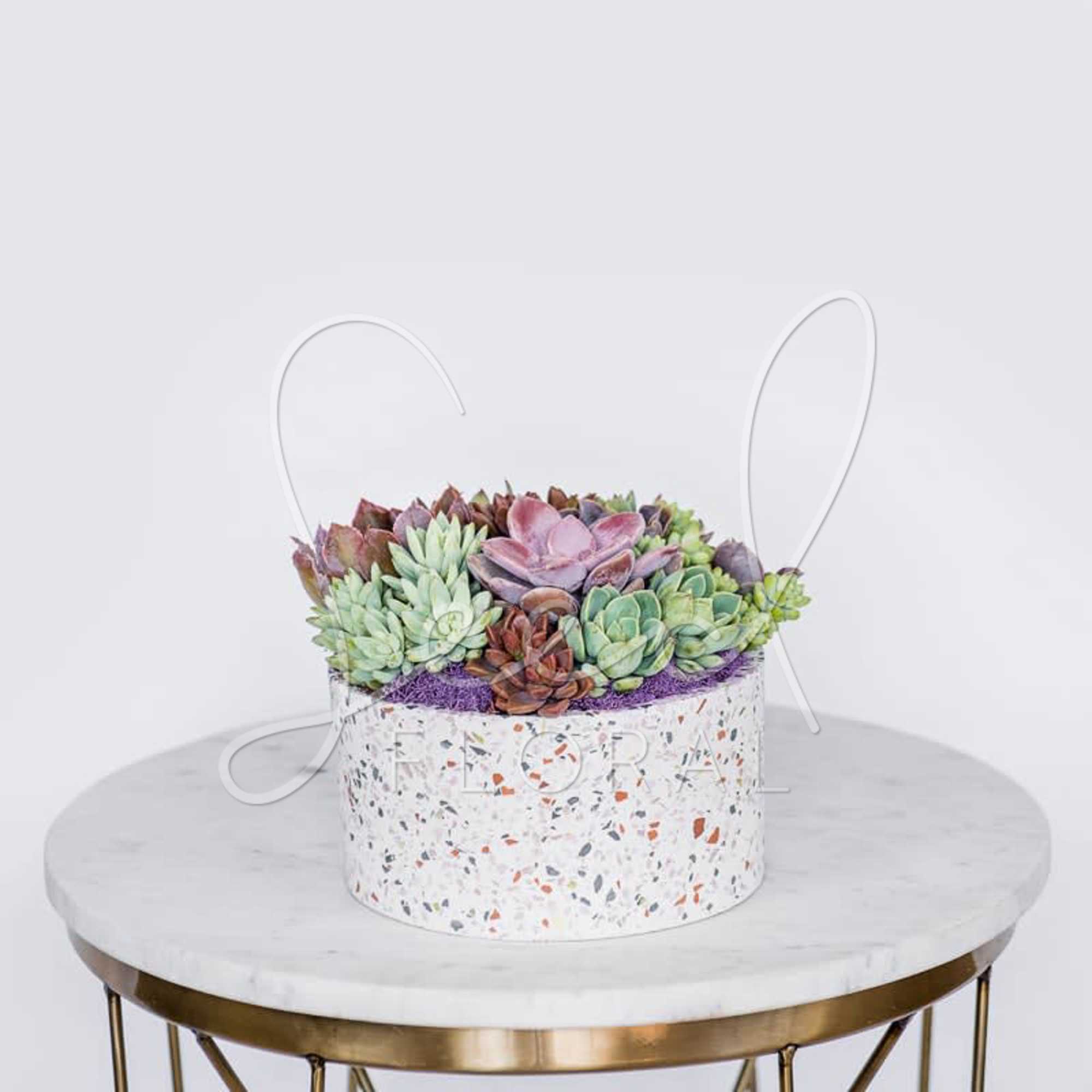 Round box filled with pastel succulents on a table