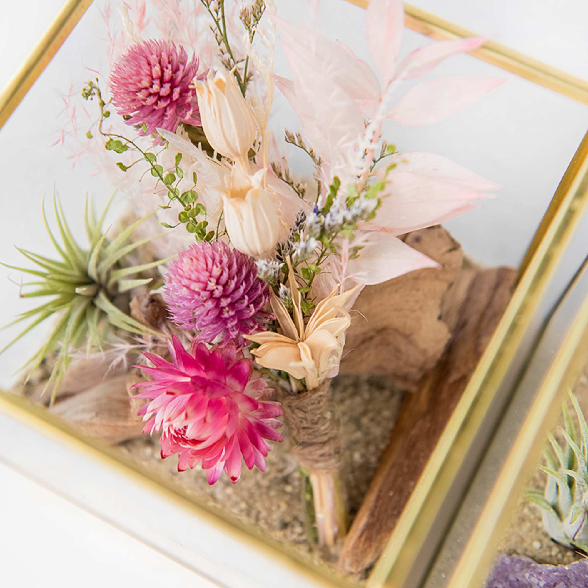 Small terrarium with pink and cream dried flowers, an air plant, and sand in a gold-edged glass box.