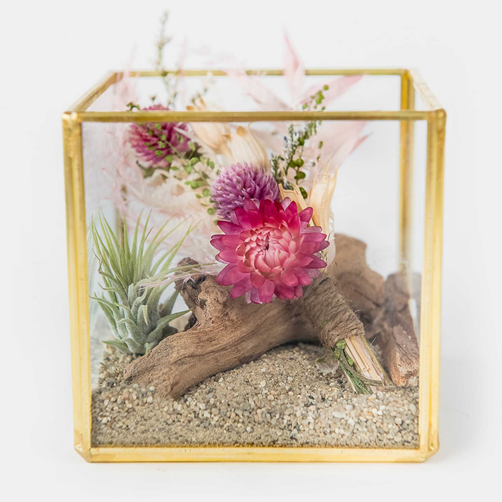 Glass cube terrarium with pink dried flowers, air plant, sand, and driftwood