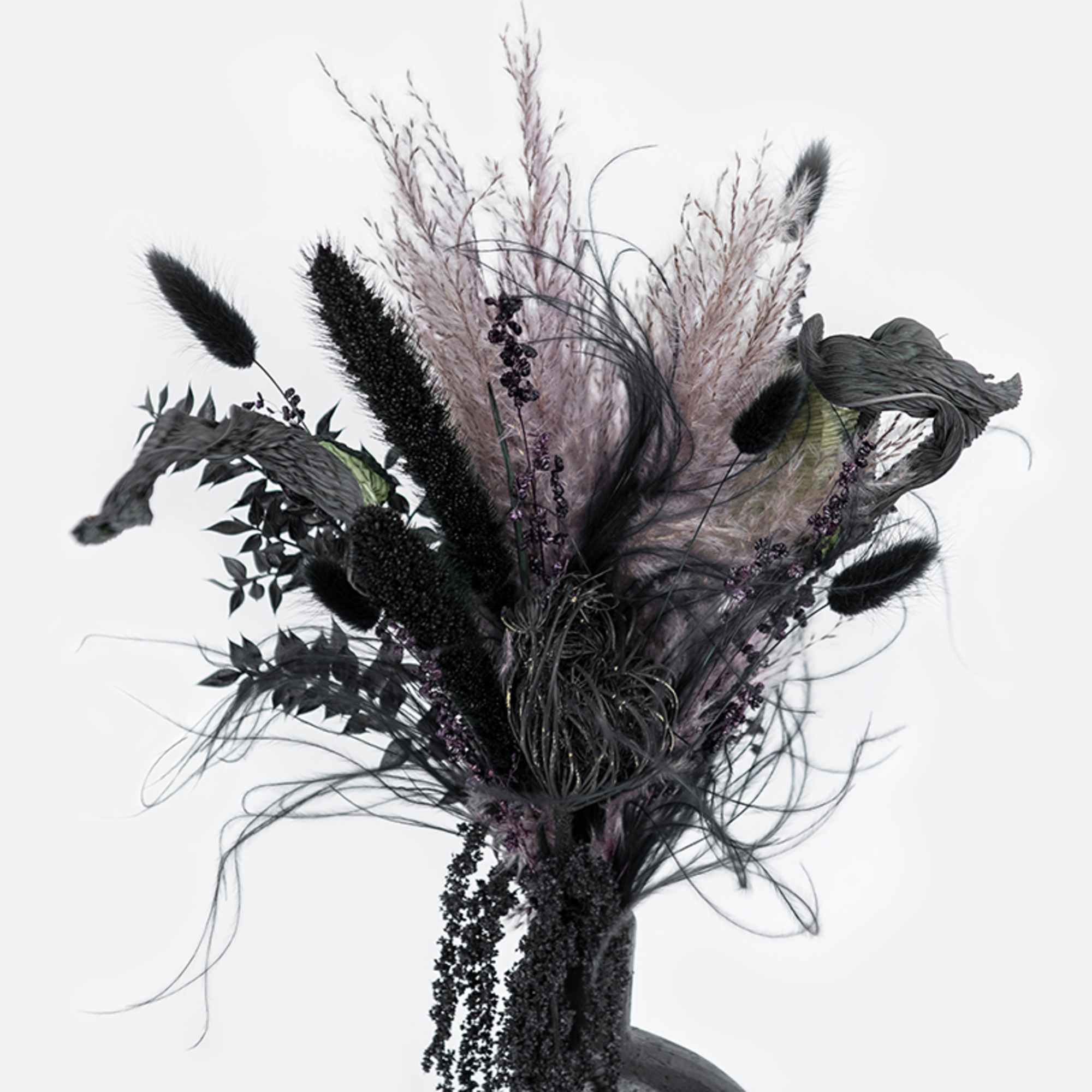 Dried floral arrangement with dark feathery grasses and black foliage