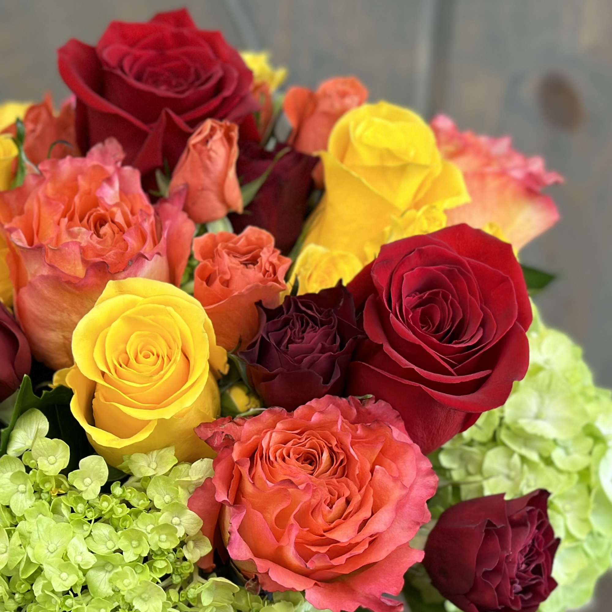 Bouquet of red, yellow, and coral roses with green hydrangeas