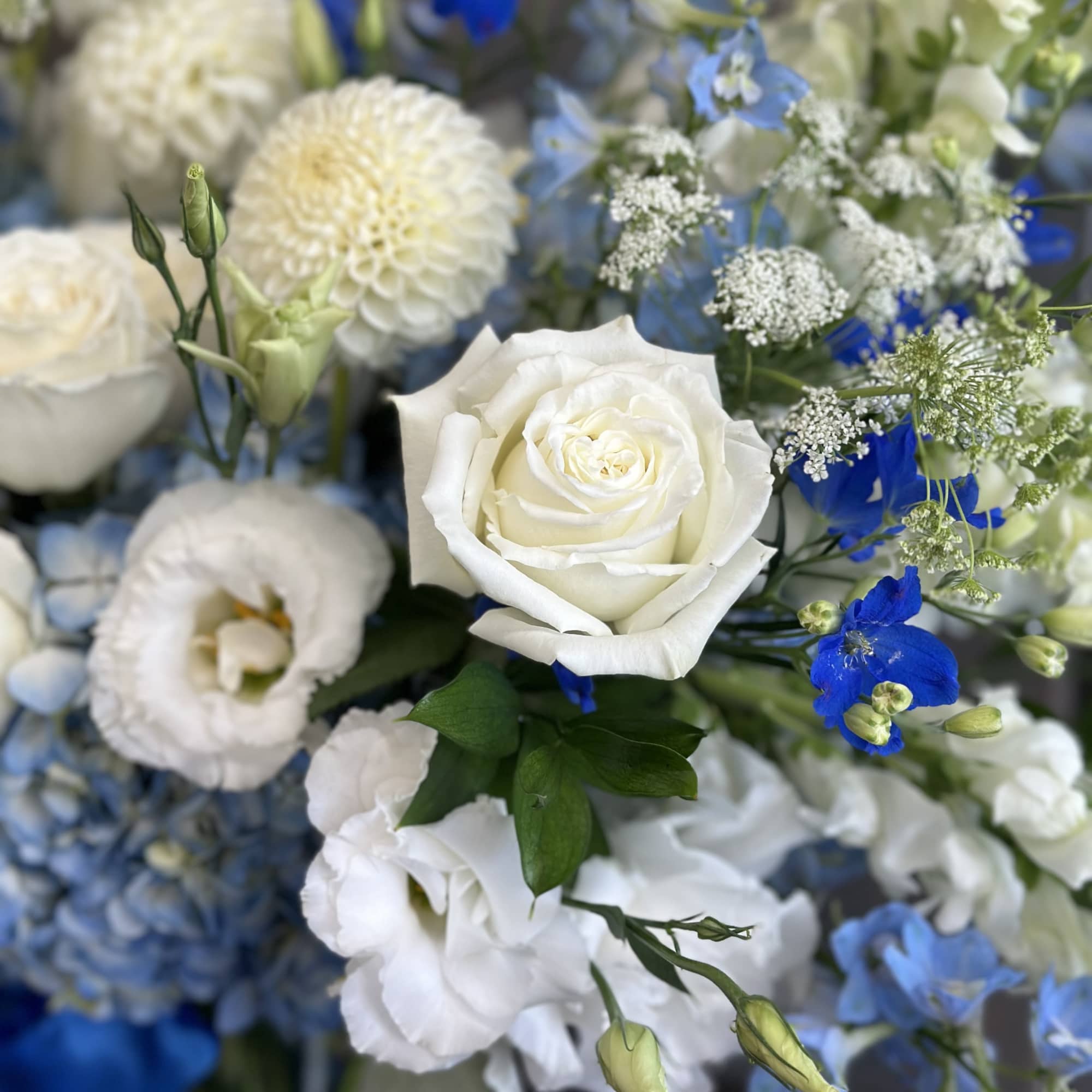 White roses and blue flowers in a mixed bouquet