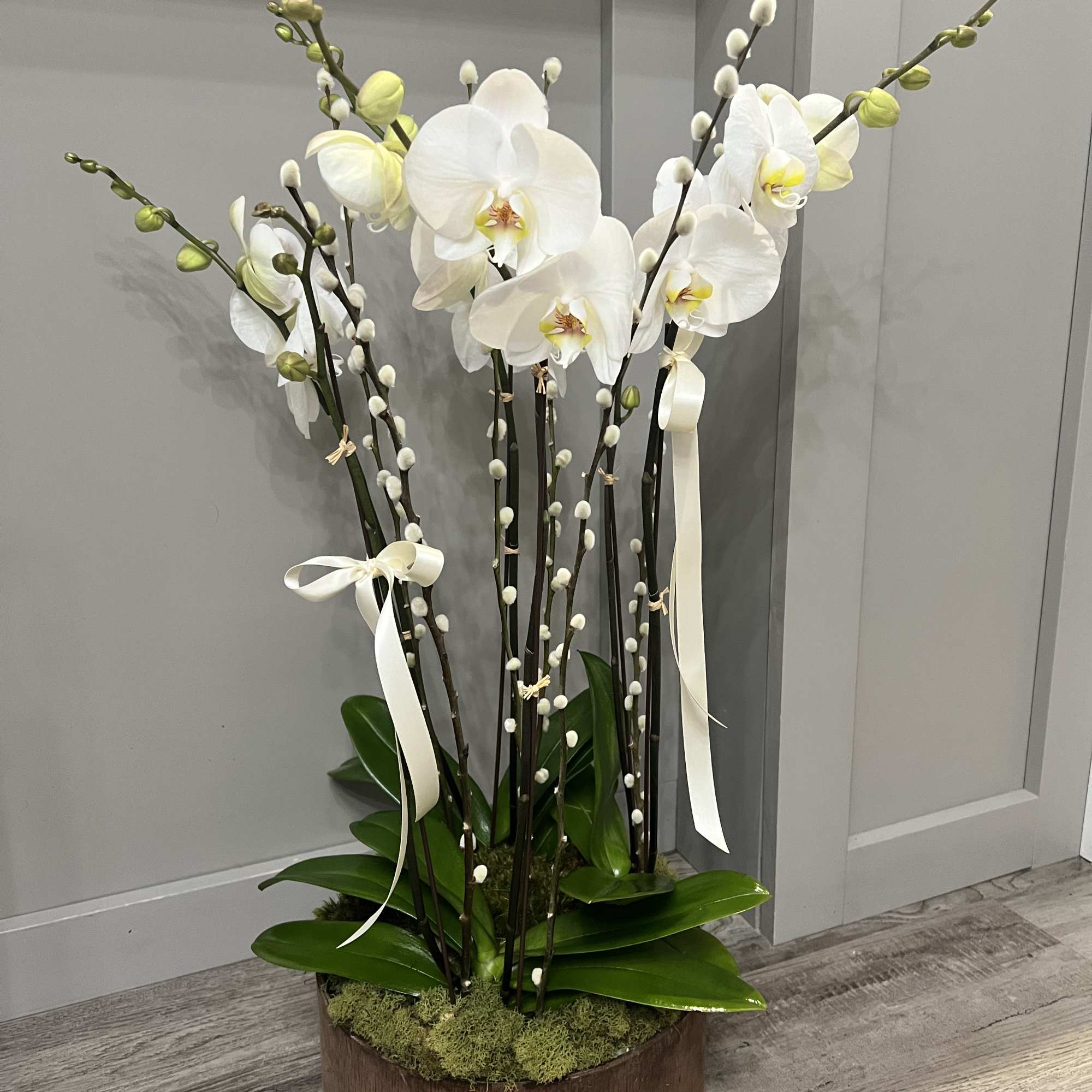 Tall white orchid arrangement in a wooden container with ribbon