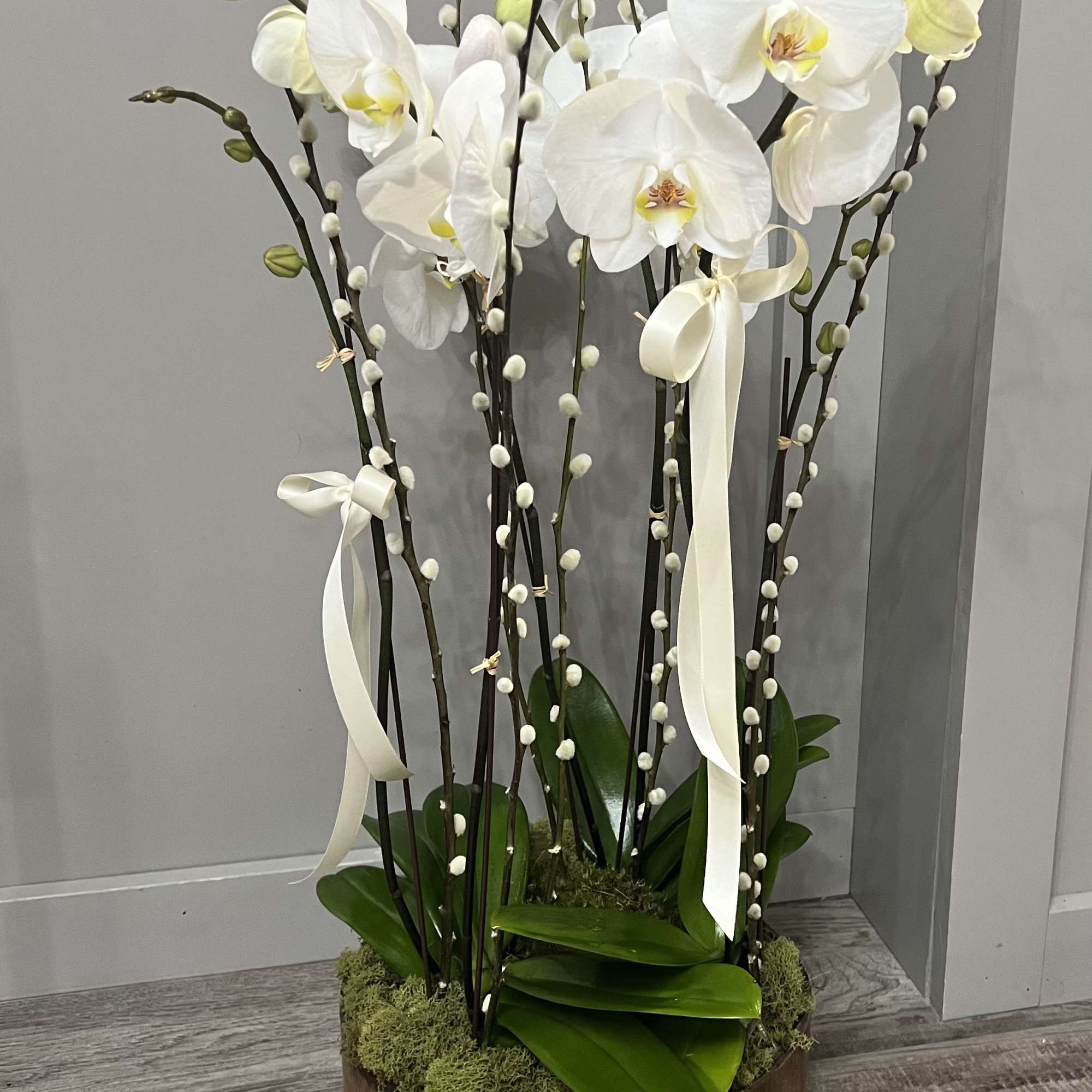 White orchids arranged in a round wooden planter with ribbon accents