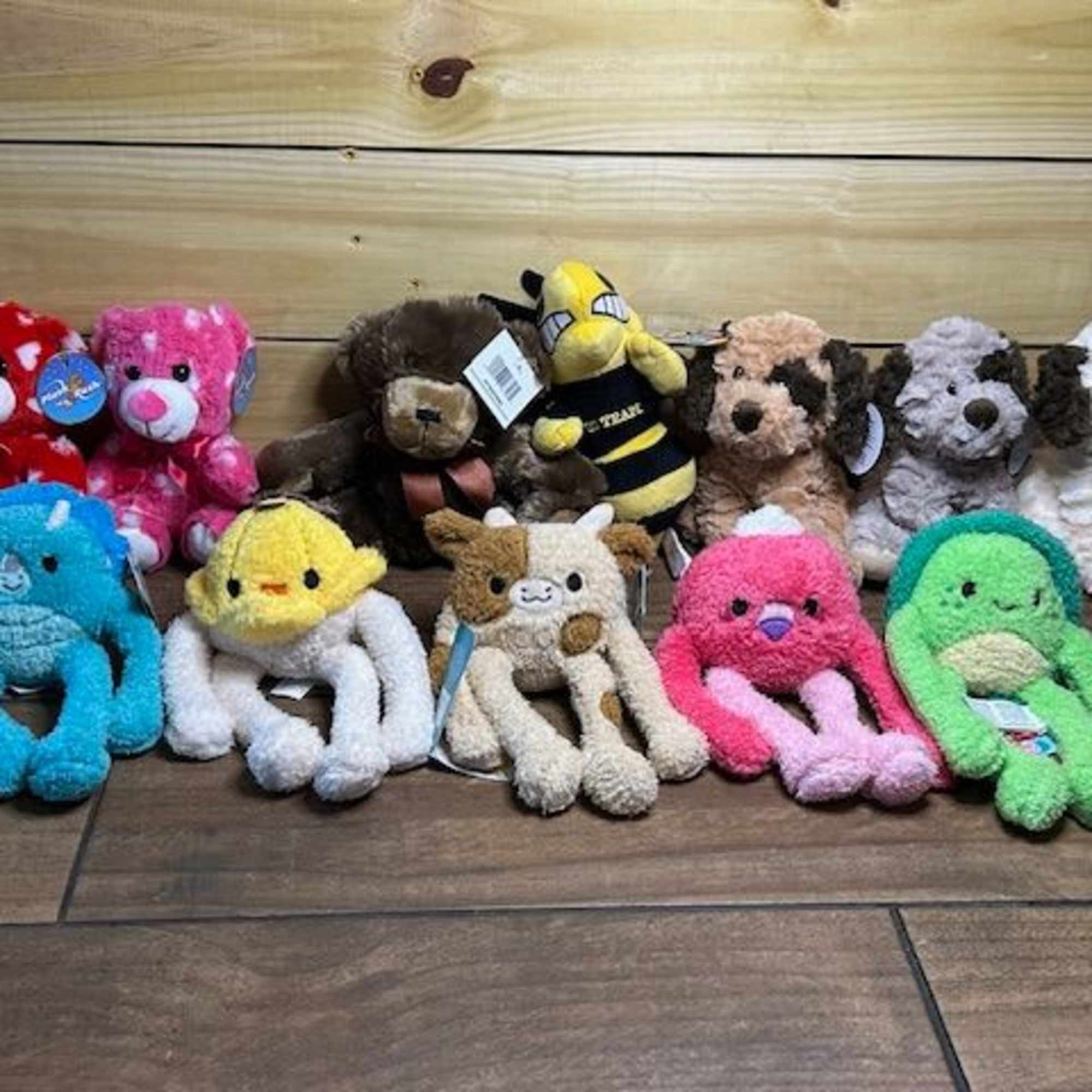 Assorted colorful plush teddy bears and animal toys arranged on a wooden floor