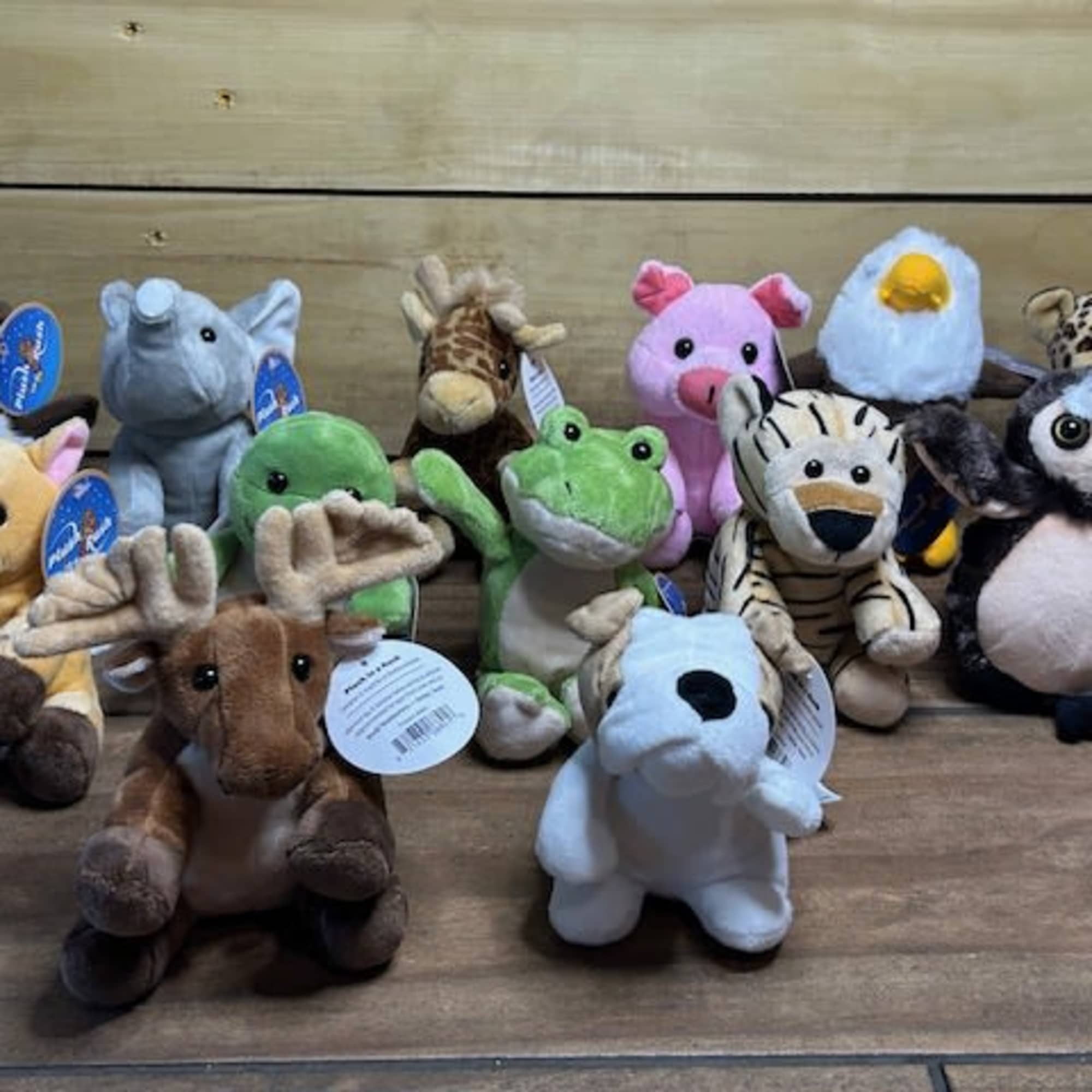 Assorted plush animal toys arranged on a wooden surface