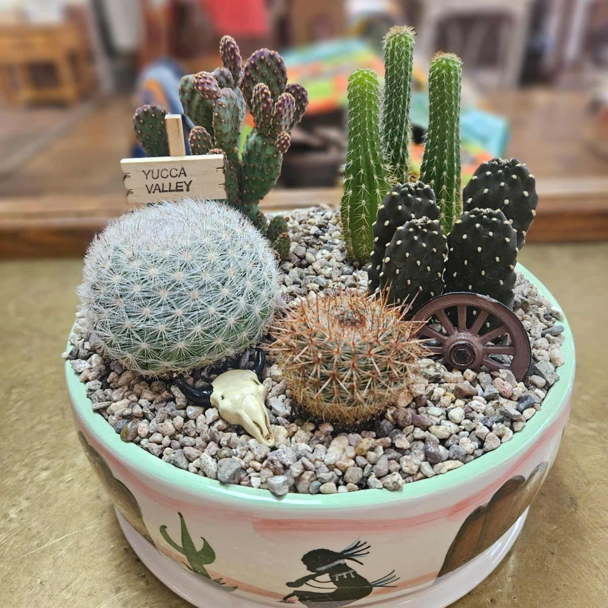 7-8 assorted cacti in a 8" ceramic container (pots come in assorted