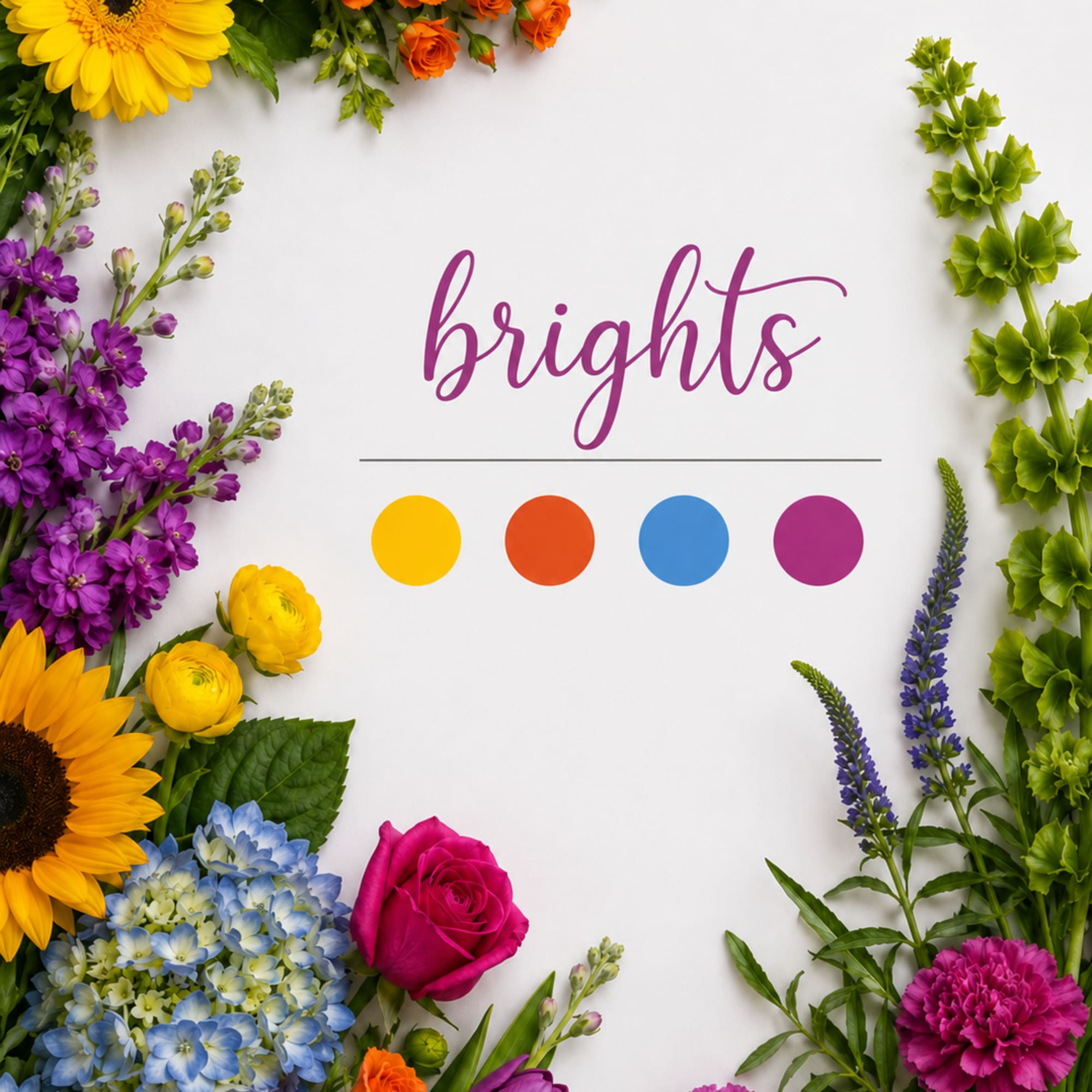 Bright mixed flowers framing the word "brights" on a white background