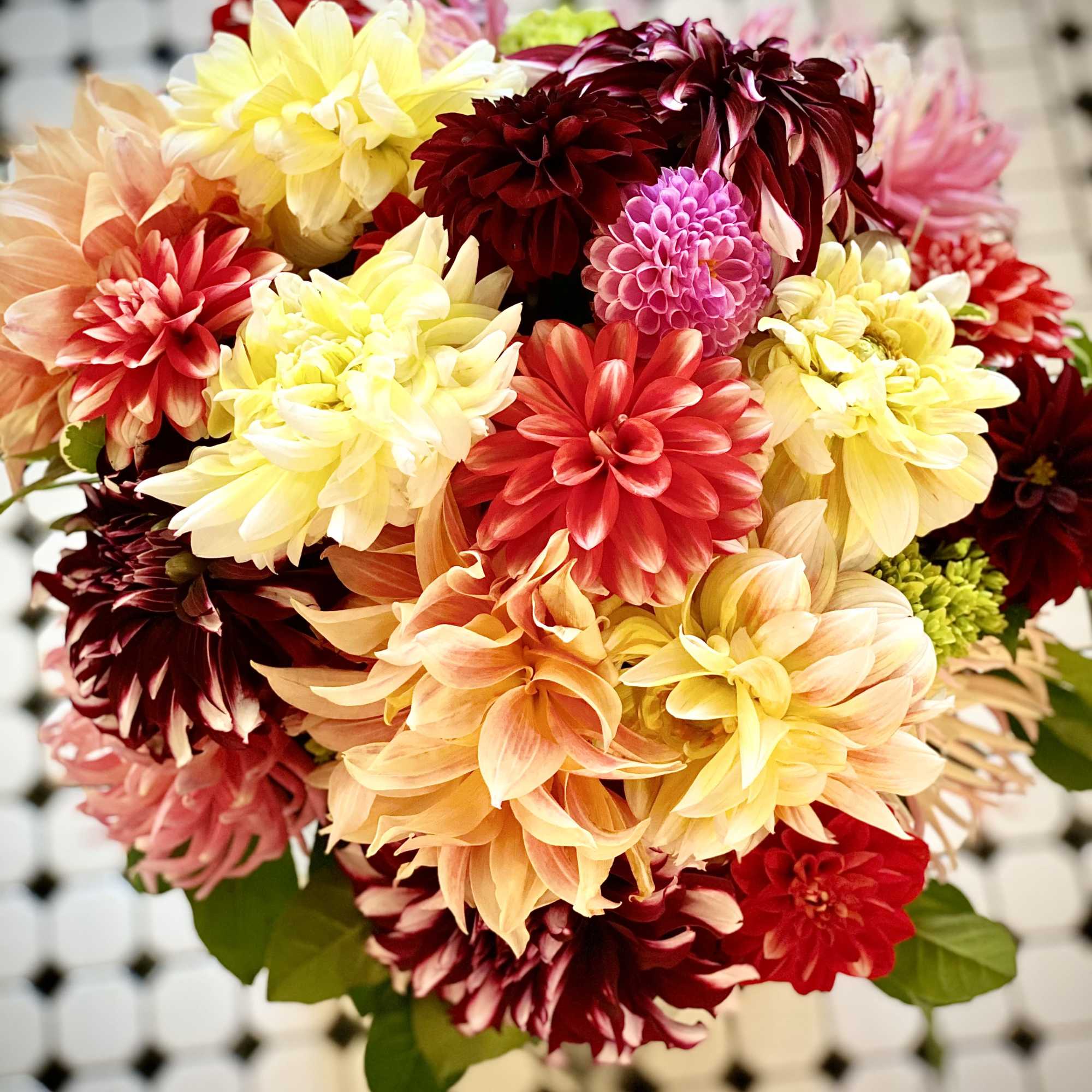 Mixed bouquet of colorful dahlias in close-up
