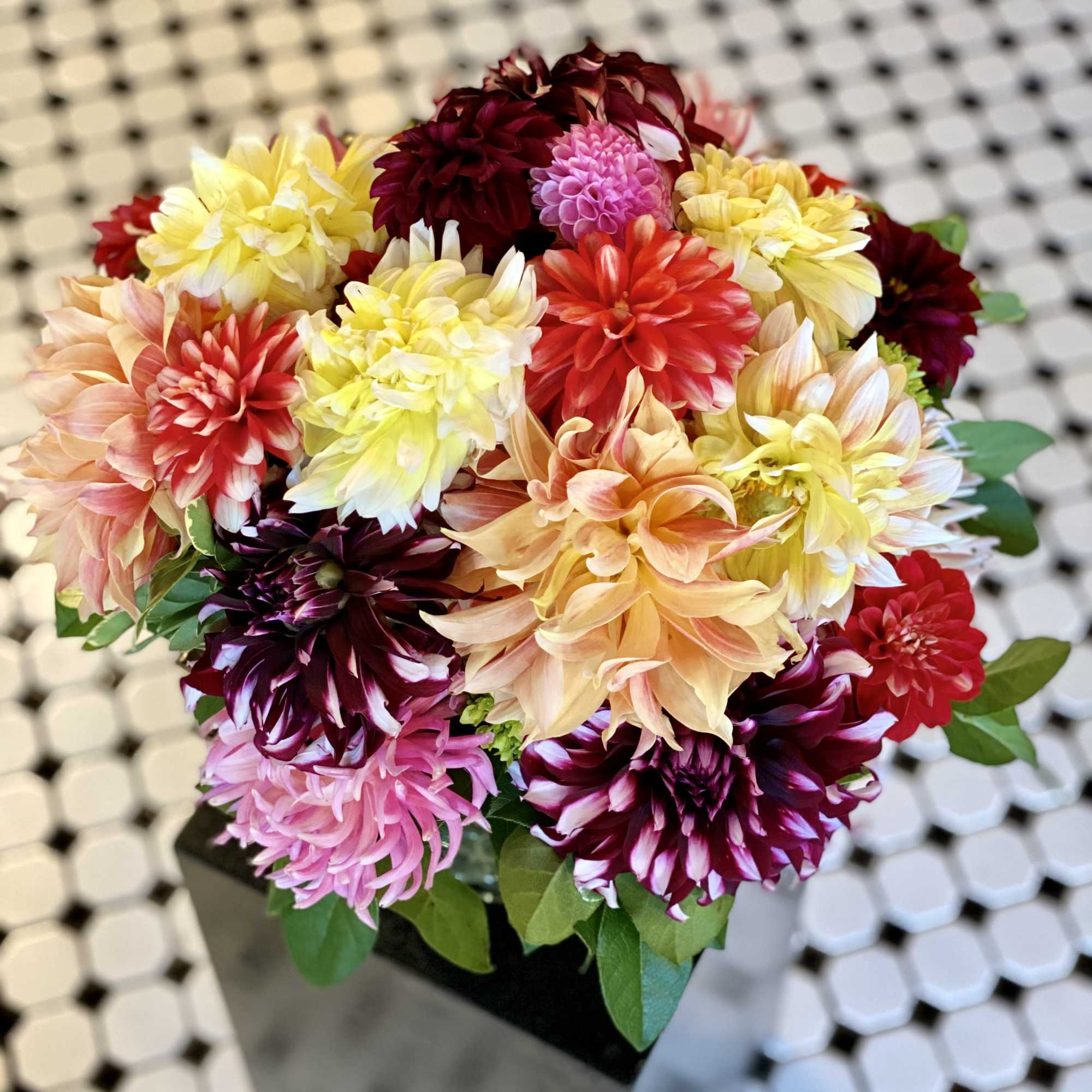 Bouquet of multicolored dahlias in a black container