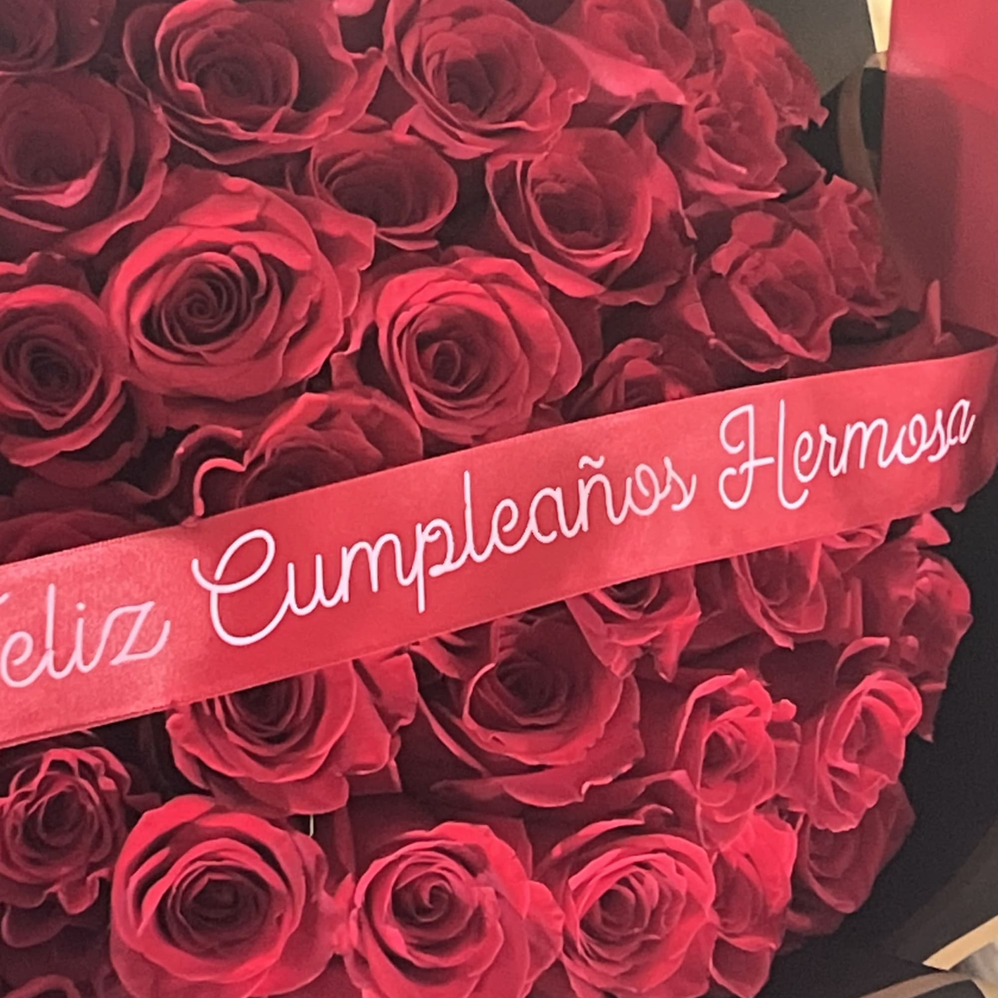 Bouquet of deep red roses with a red ribbon