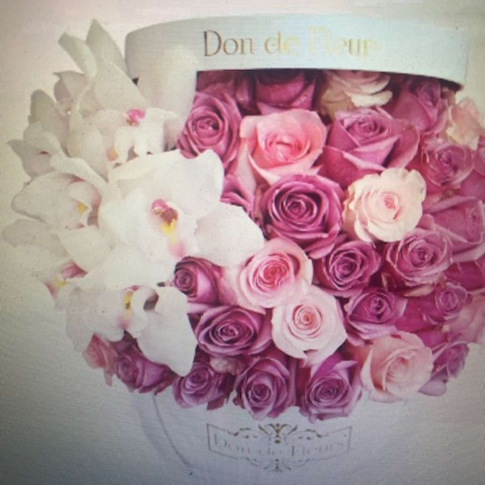 roses in a elegant box hat with orchid it can be done