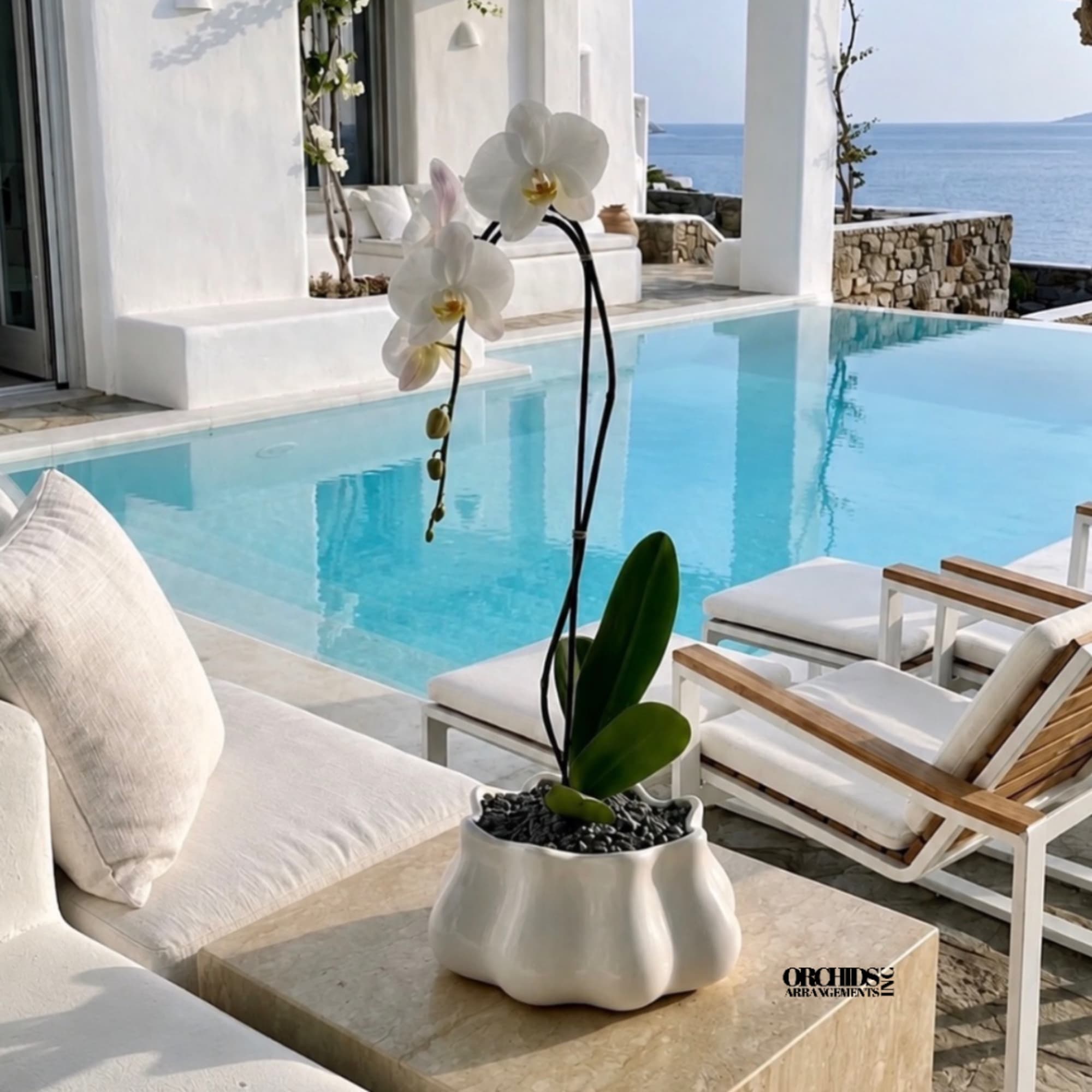 White orchid plant in a white ceramic pot on a patio table