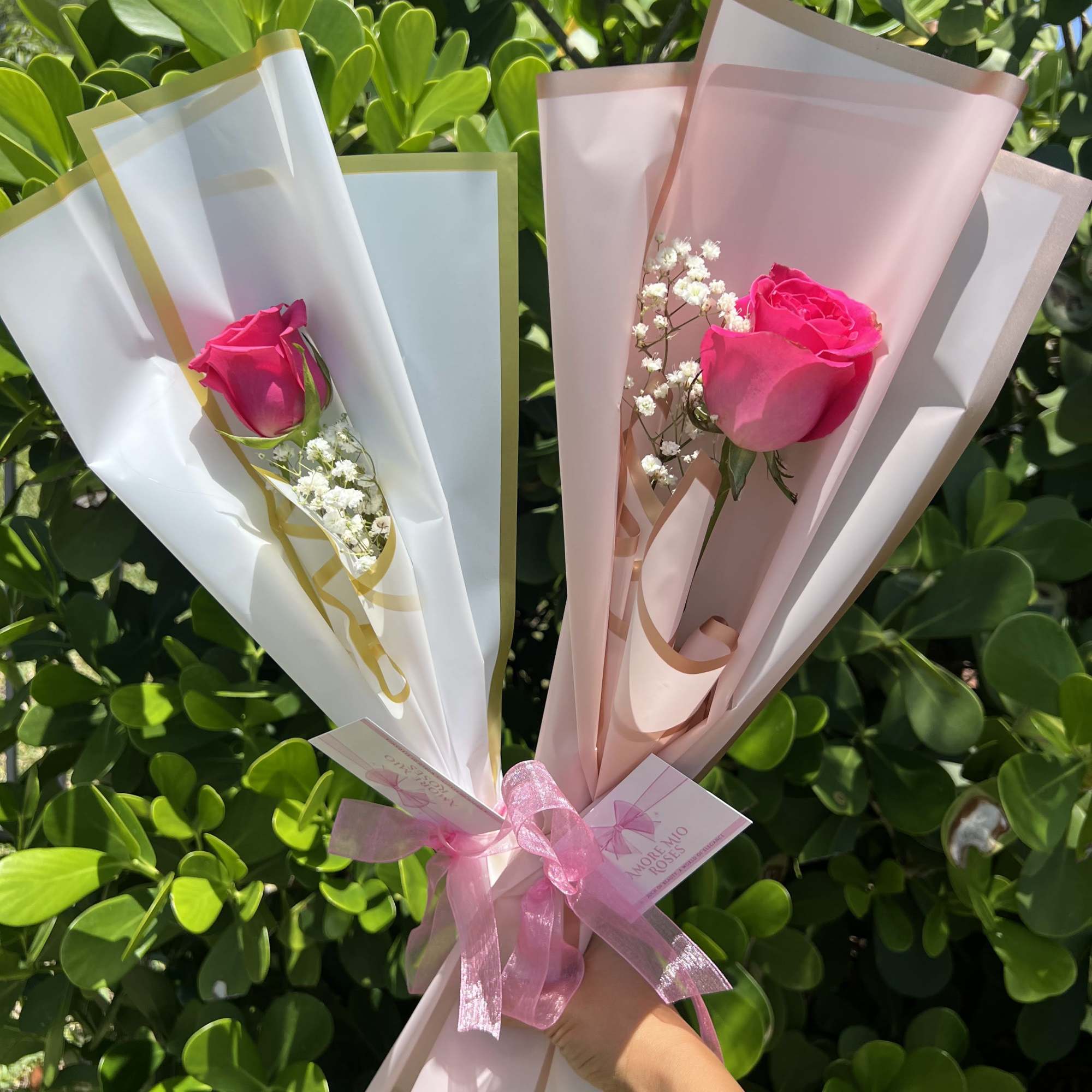 Two wrapped pink rose bouquets with baby's breath held outdoors