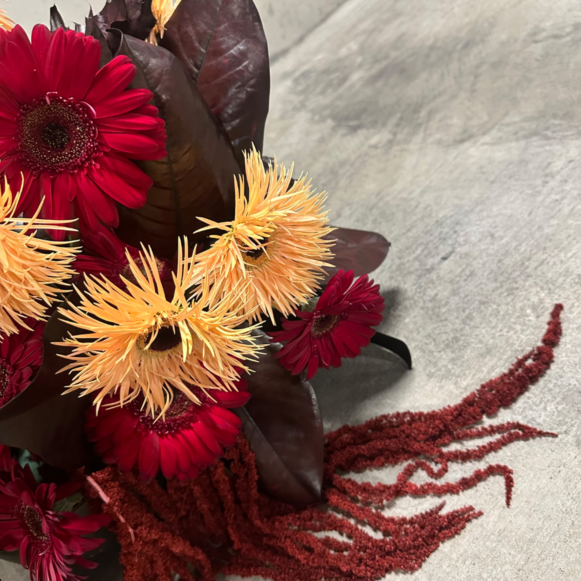 Bouquet of red and peach daisy-like flowers with dark leaves