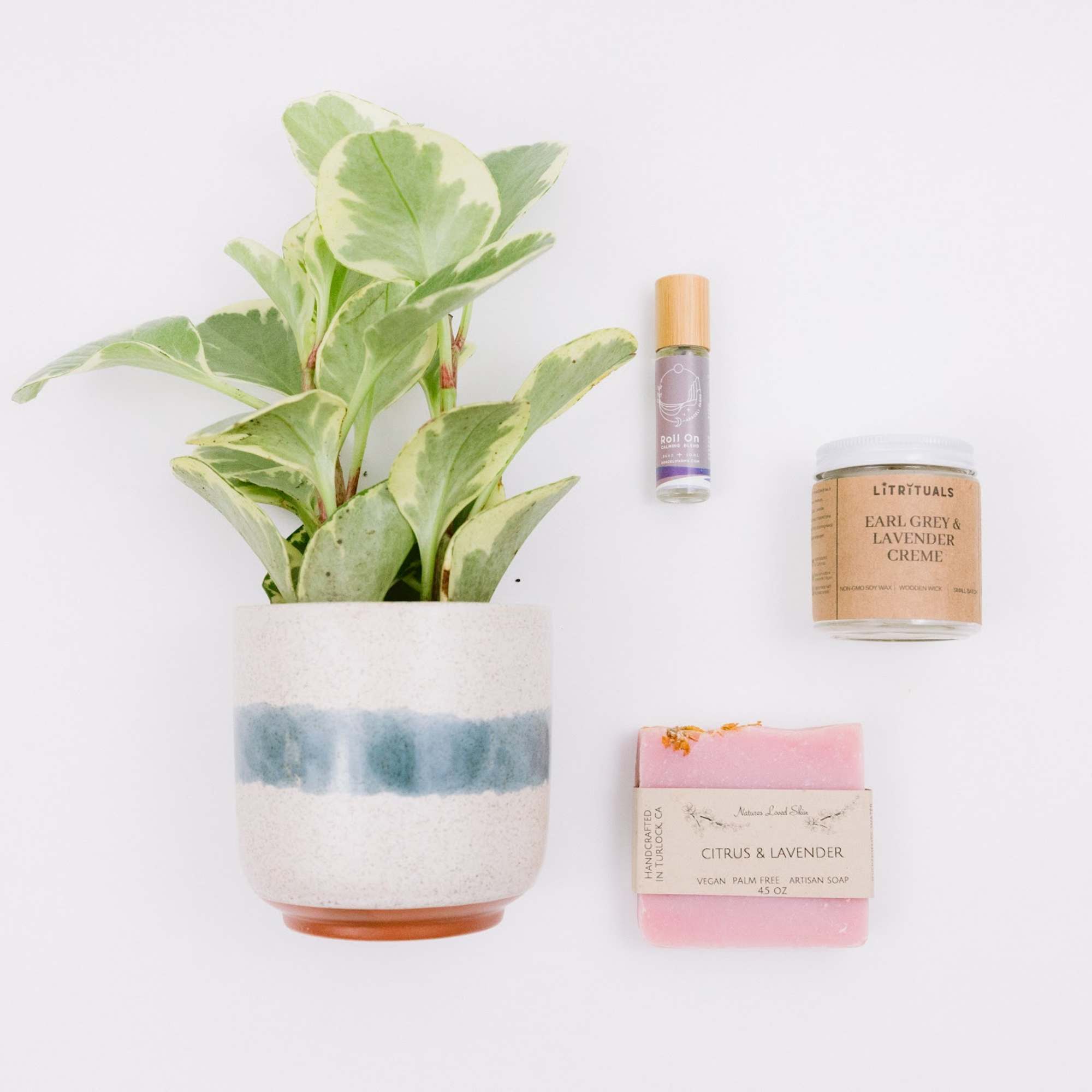 Potted plant with a candle, soap, and small bottle arranged beside it