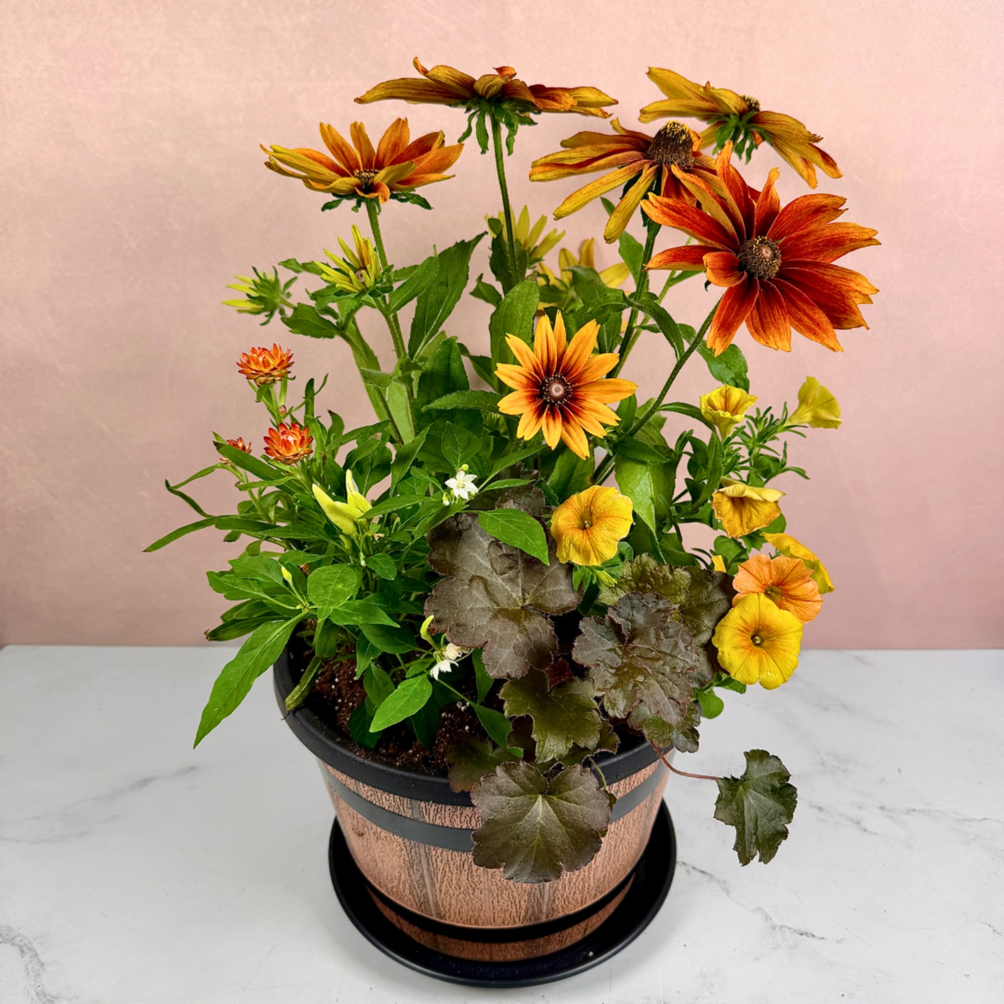 Potted arrangement of orange and yellow daisy-like flowers in a decorative container.