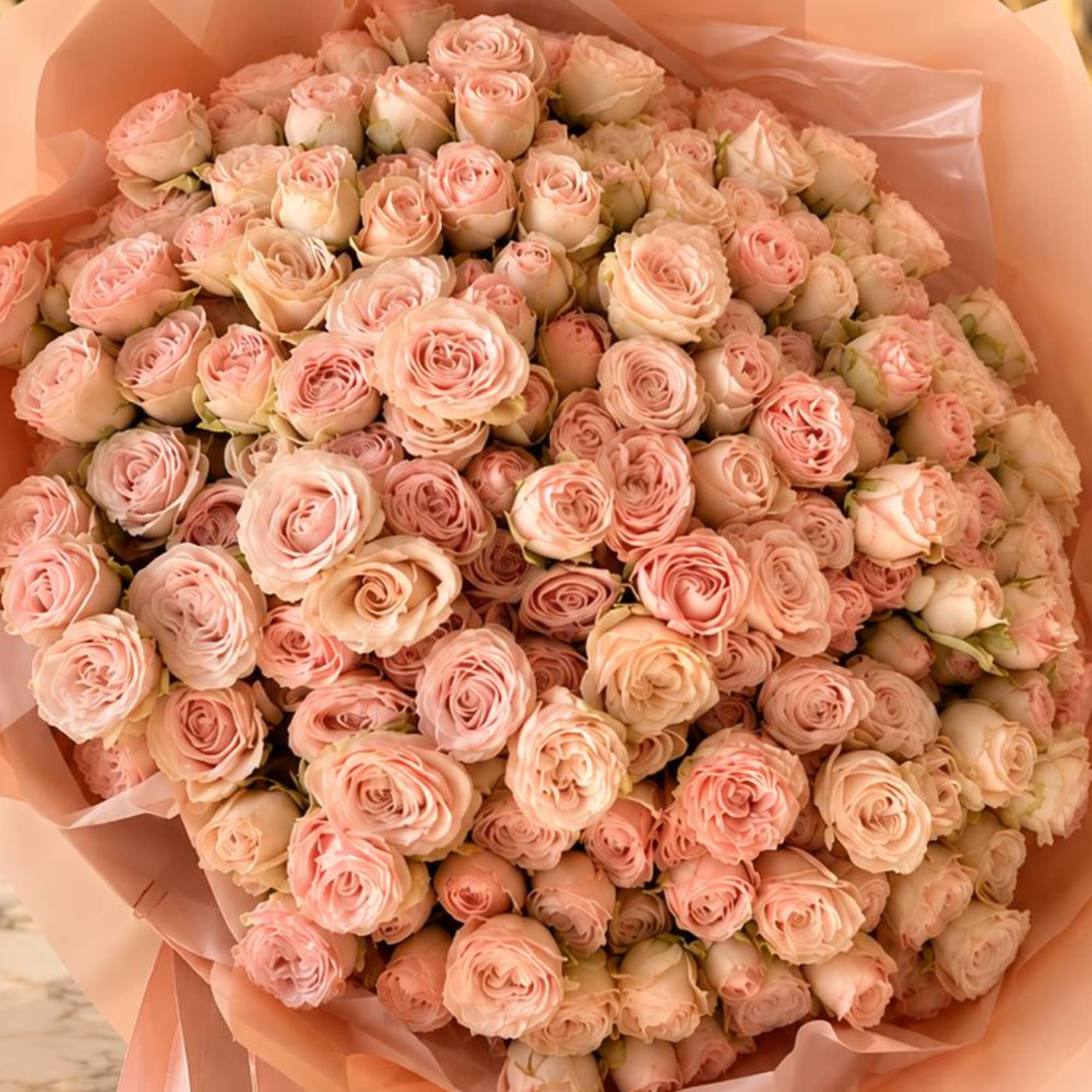 Large bouquet of pale pink roses wrapped in peach paper, photo 2 of 2