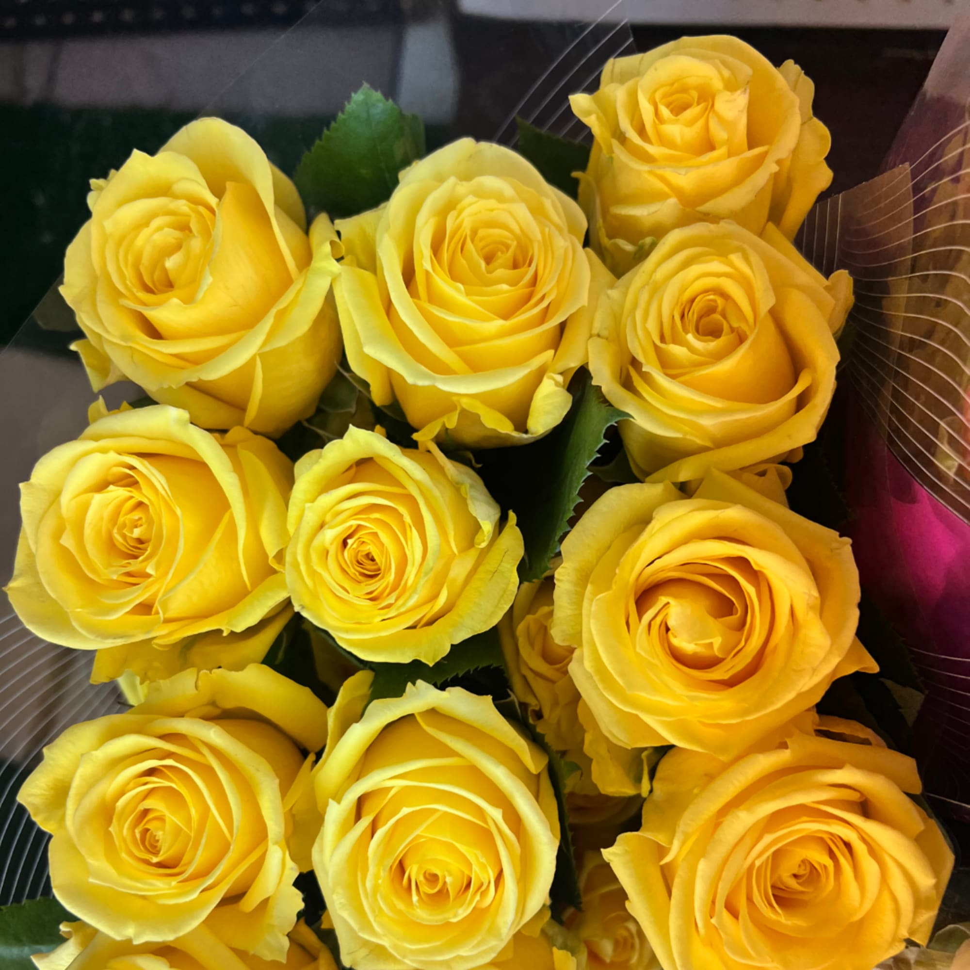 Bouquet of yellow roses with dark green foliage