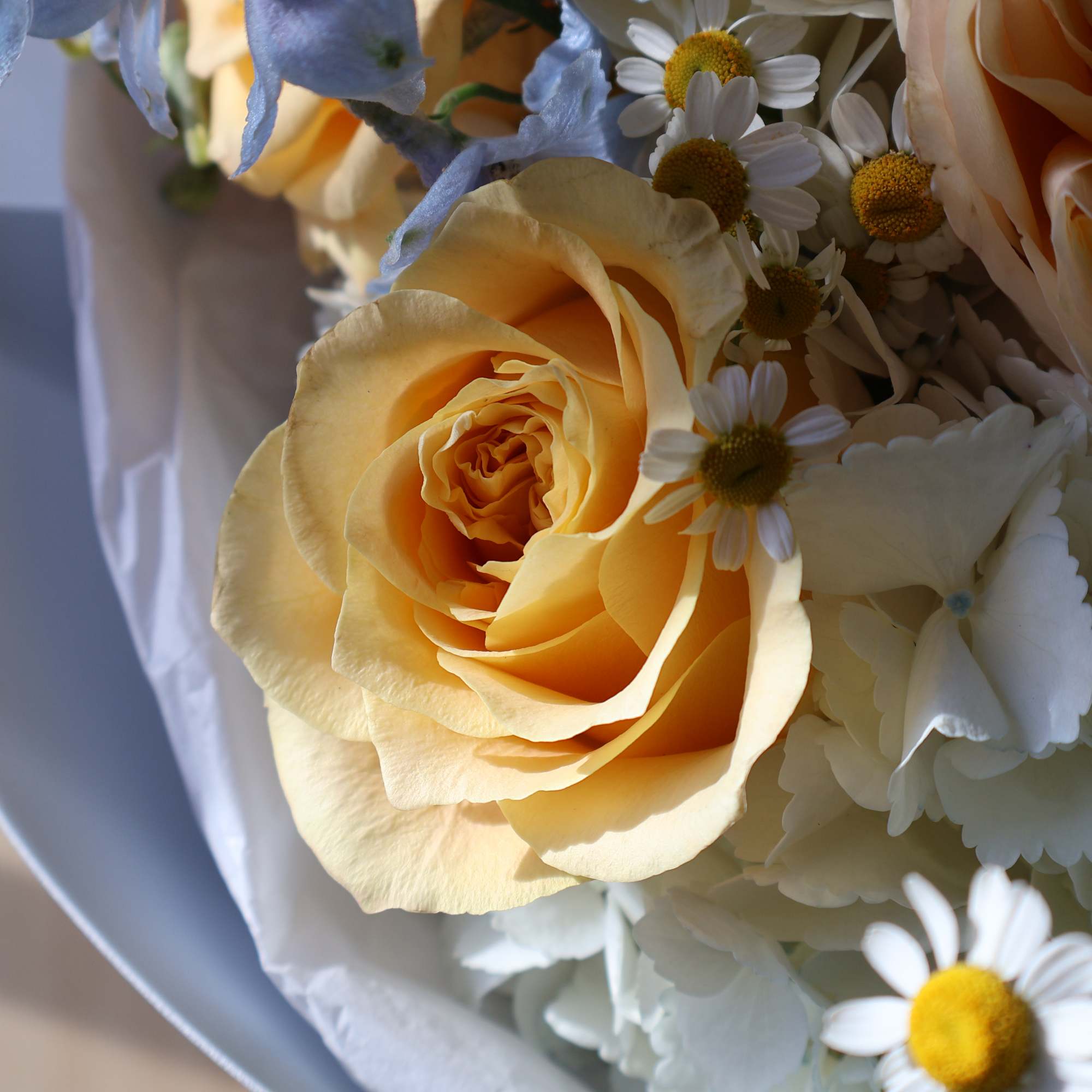 Bouquet of peach roses and white daisies wrapped in white paper