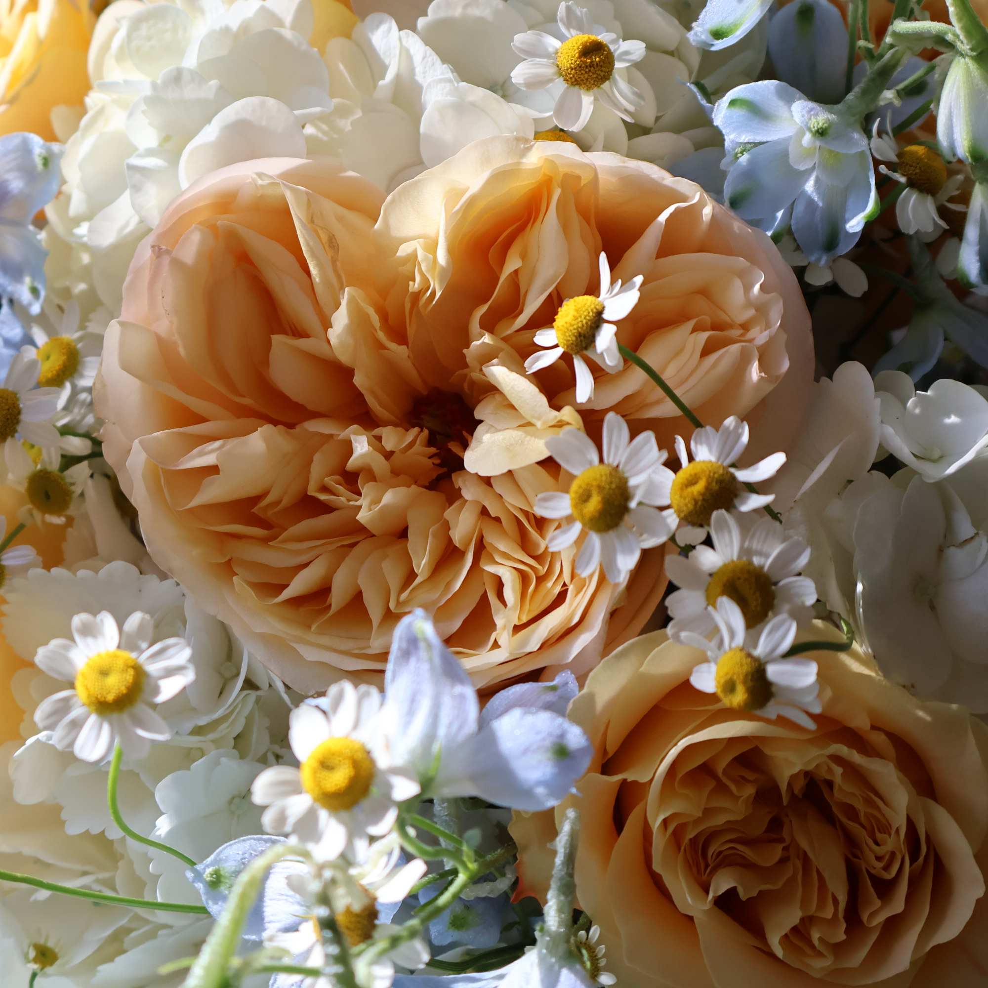 Peach roses with white hydrangeas and small daisy flowers