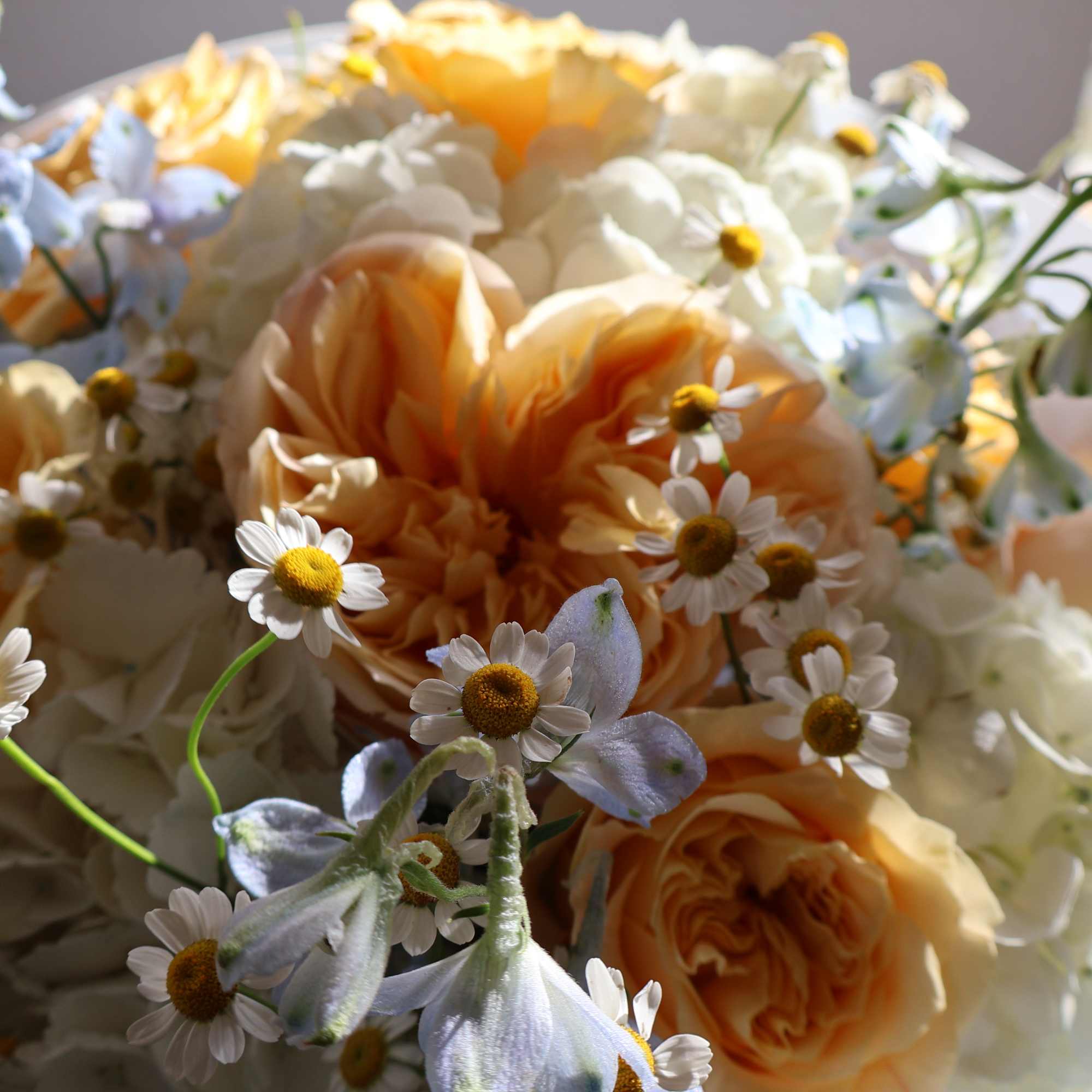 Bouquet of peach roses and white daisies with pale blue flowers