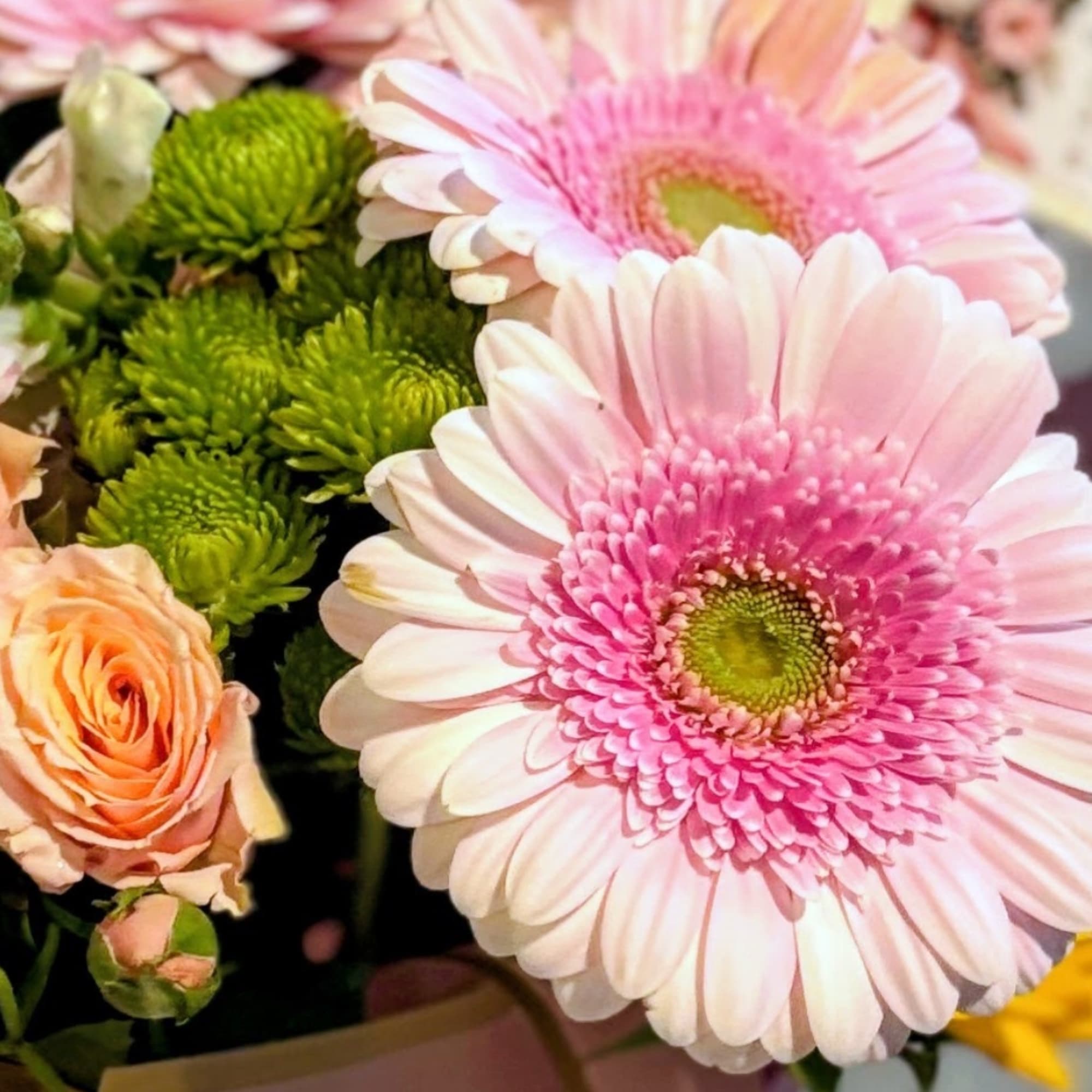Pink gerbera daisies and peach roses in a bouquet