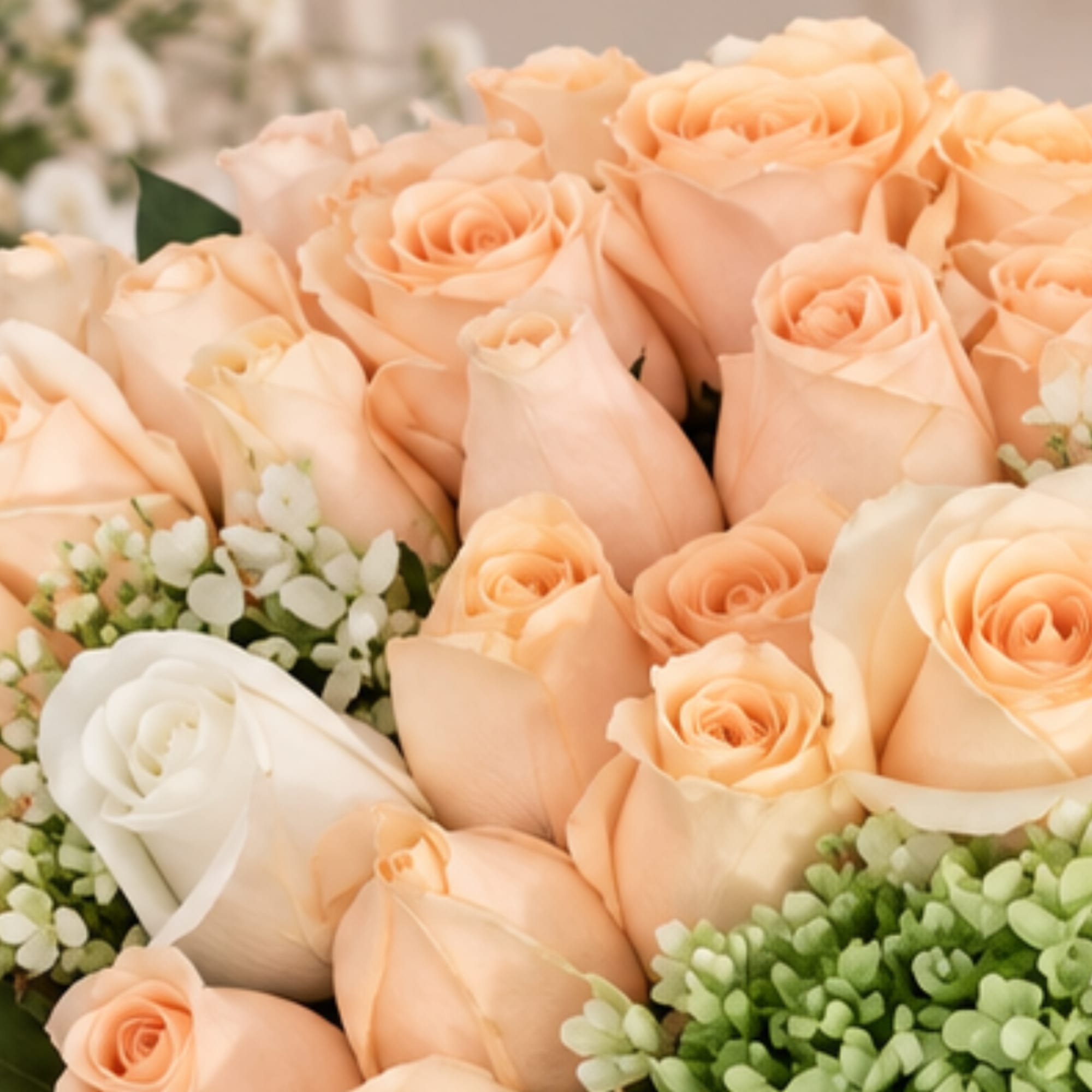 Peach and white roses arranged with small white filler flowers
