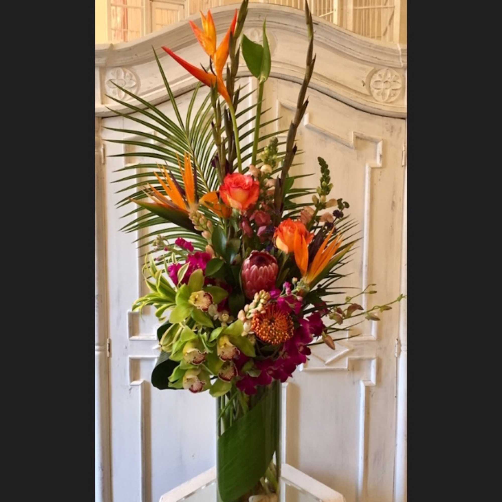 Entice the imagination with a beautiful display of exotic delights. Glamorous and