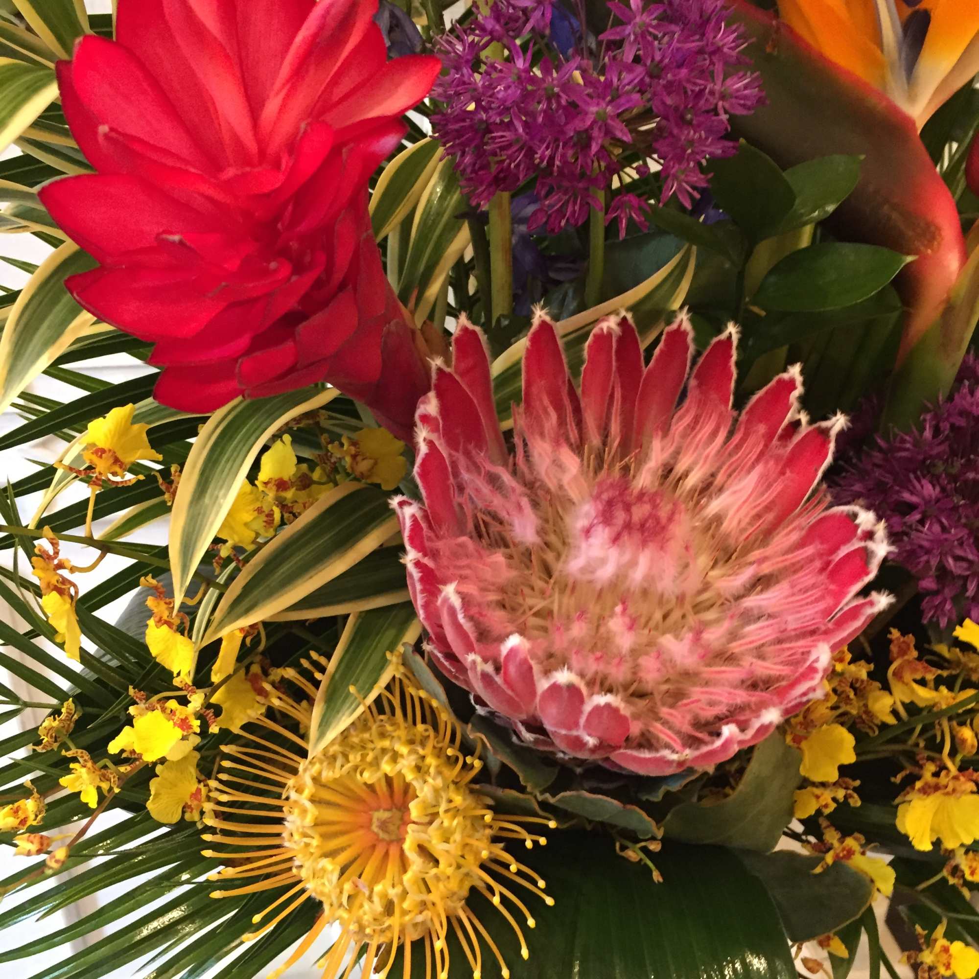 Tropical bouquet with red protea, purple allium, and yellow orchids