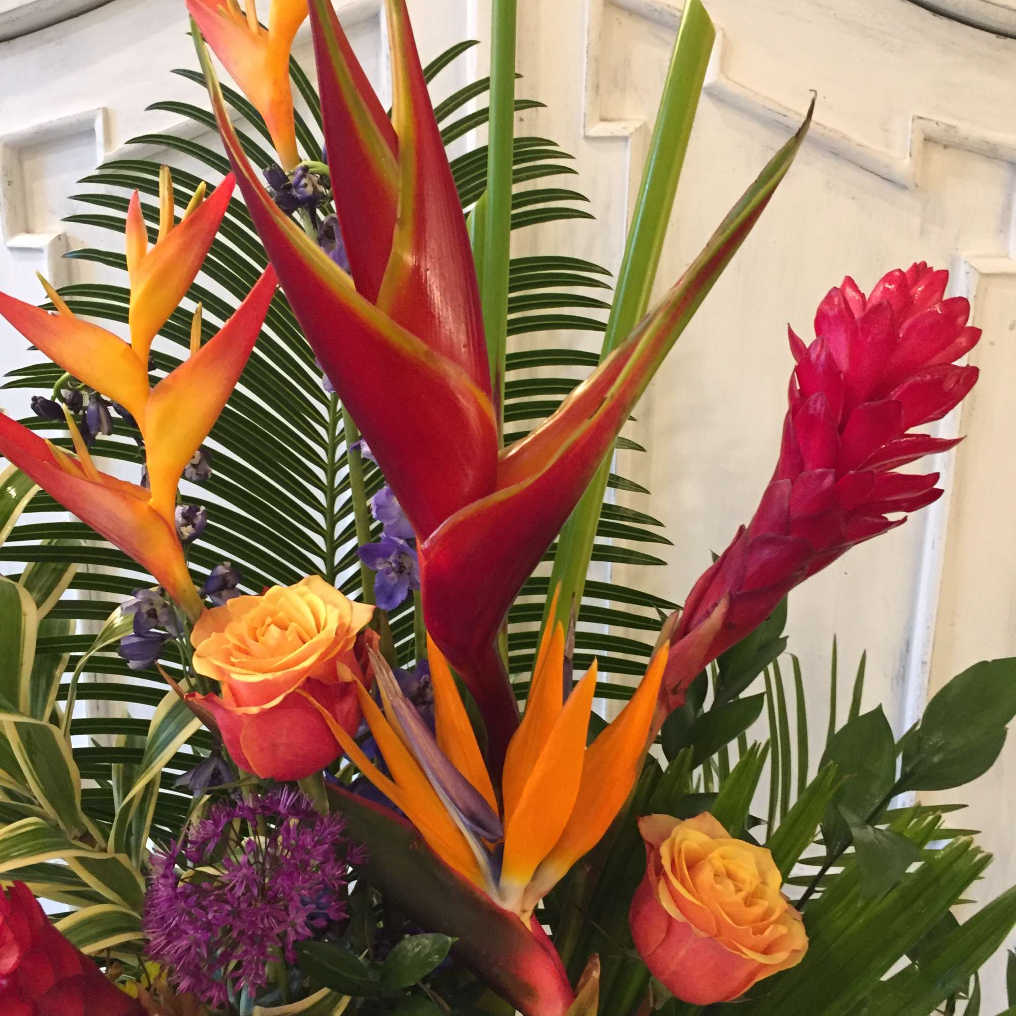 Entice the imagination with a beautiful display of exotic delights. Glamorous and