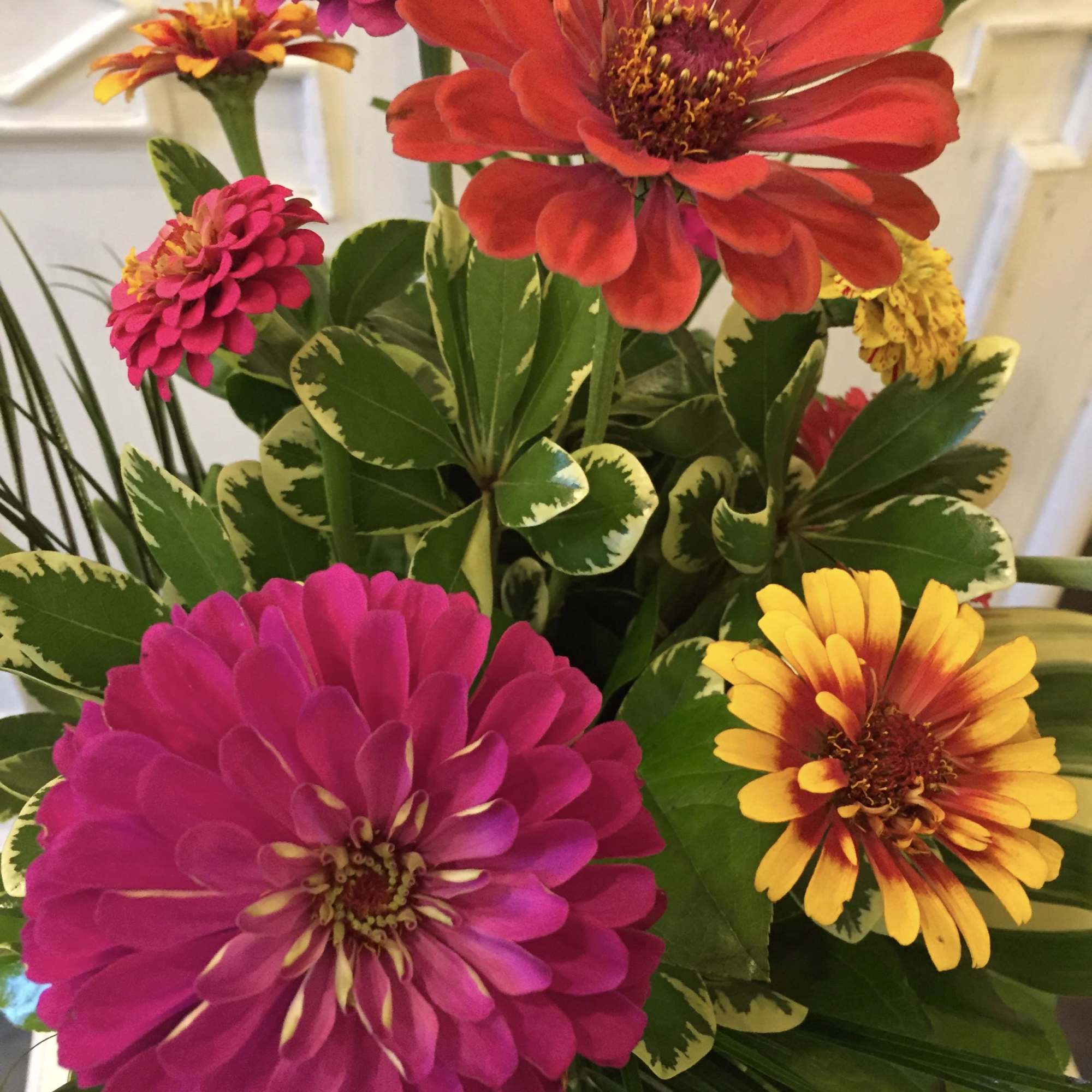Bright zinnia bouquet with pink, red, and yellow blooms