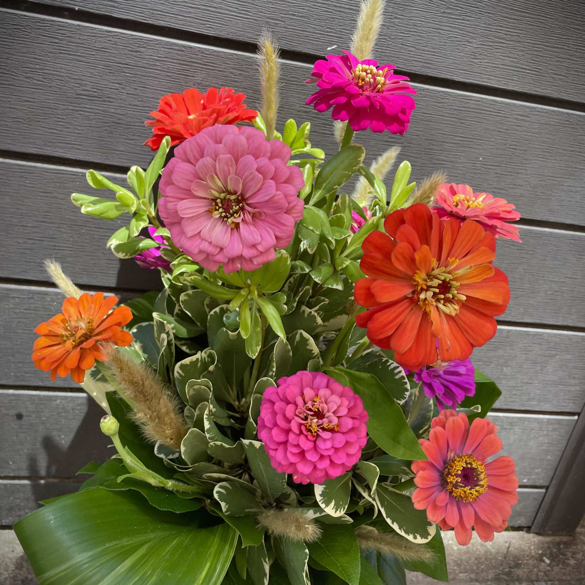 Bright zinnia bouquet in a vase with mixed pink, orange, and red blooms