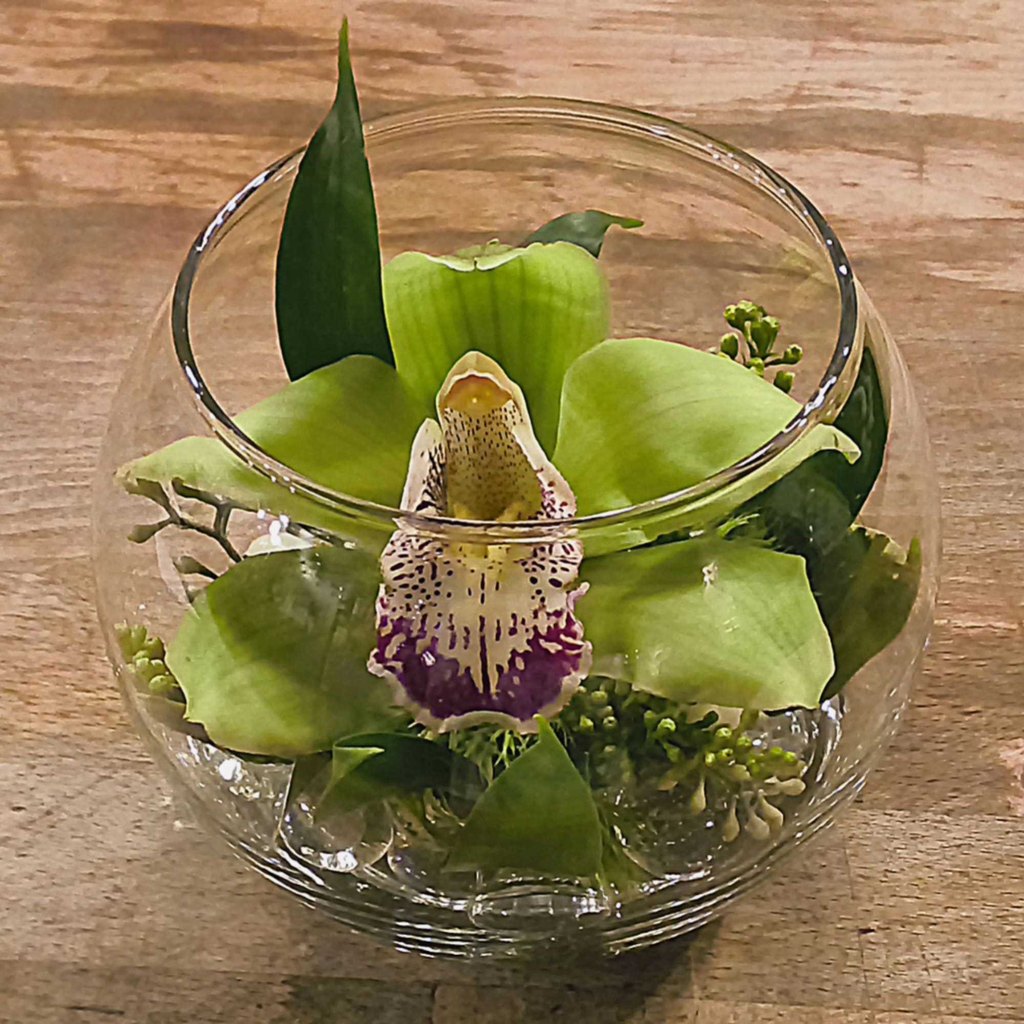 Green orchid arrangement in a clear glass bowl on a wooden surface