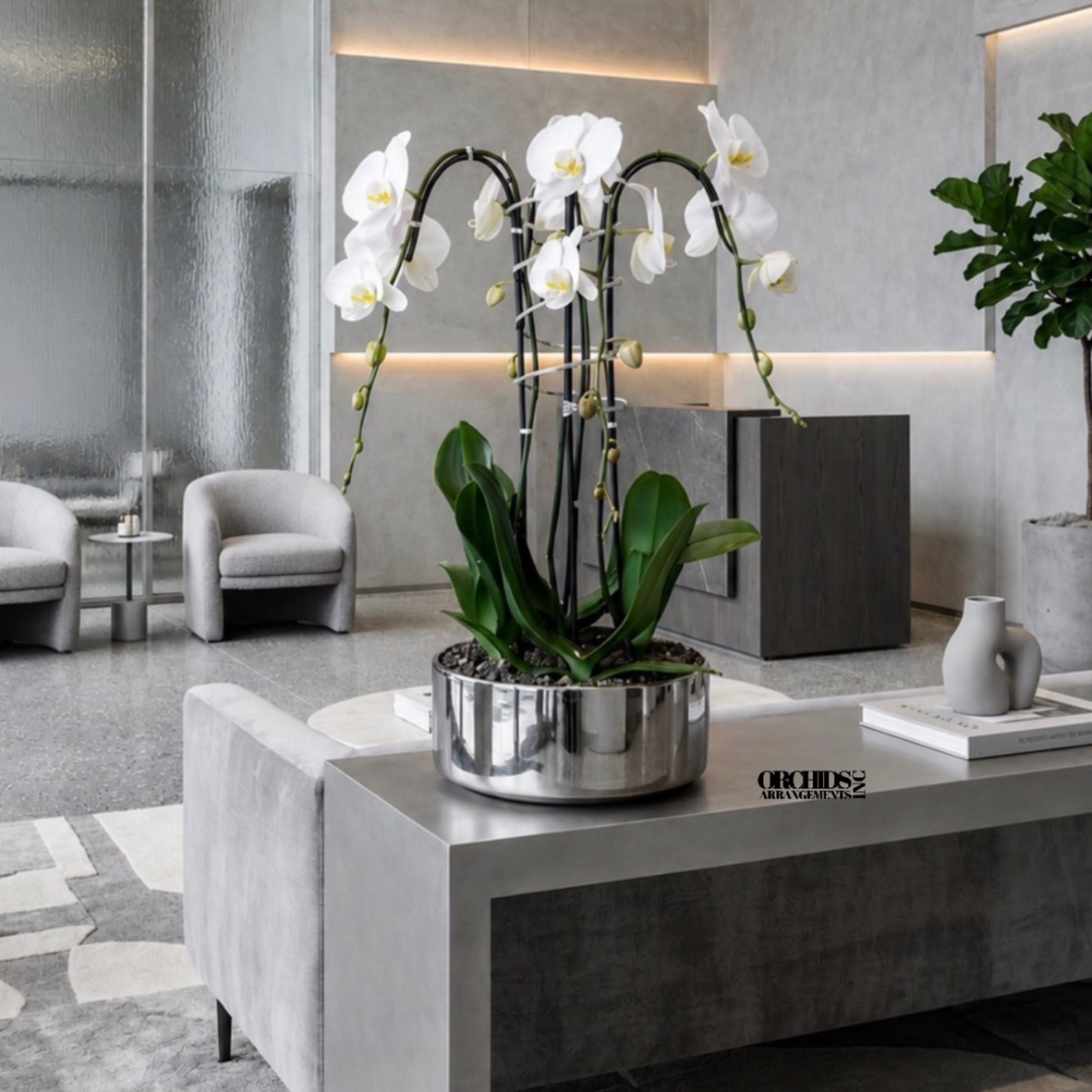 White orchids in a shiny silver planter on a modern table