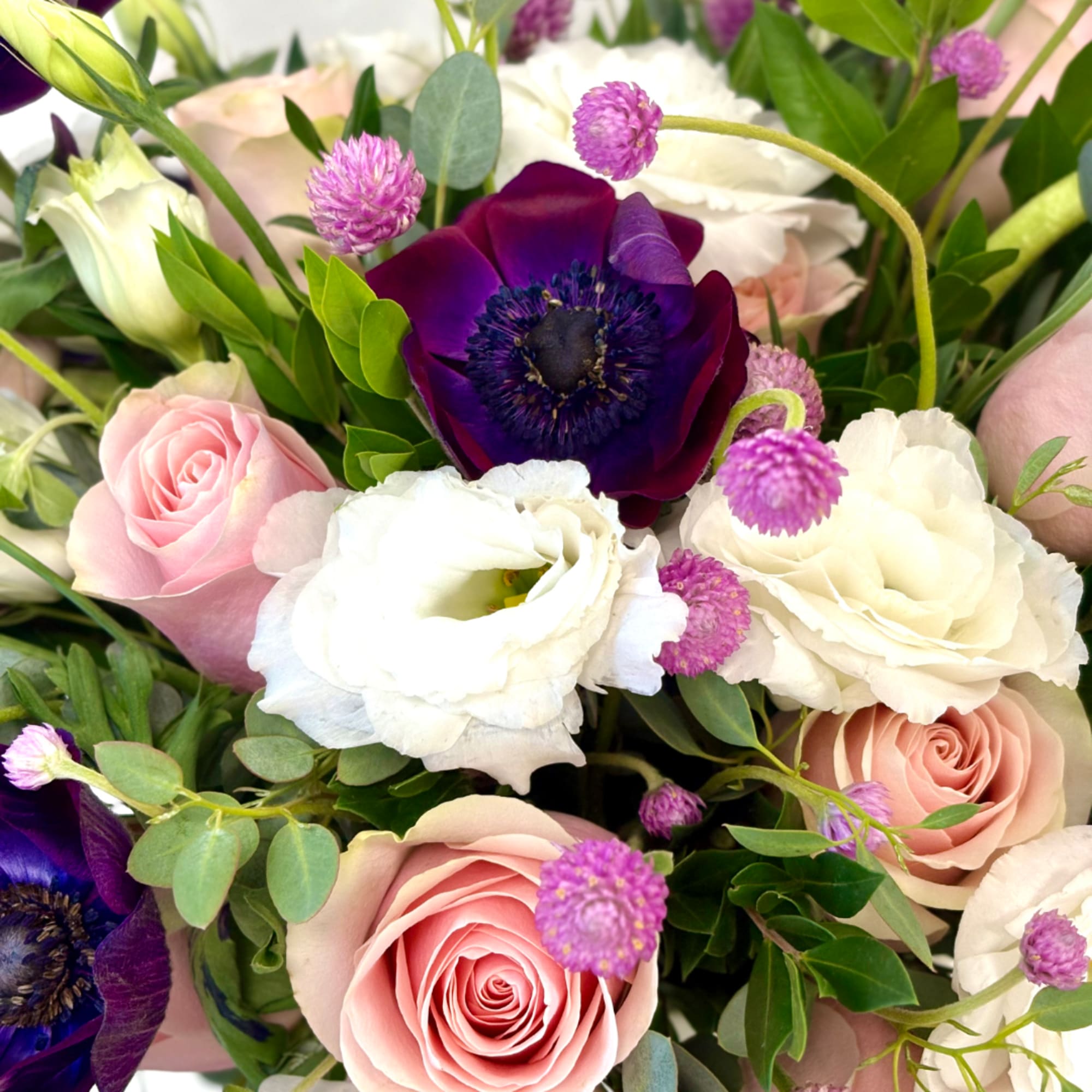 Bouquet of pink and white roses with deep purple anemones