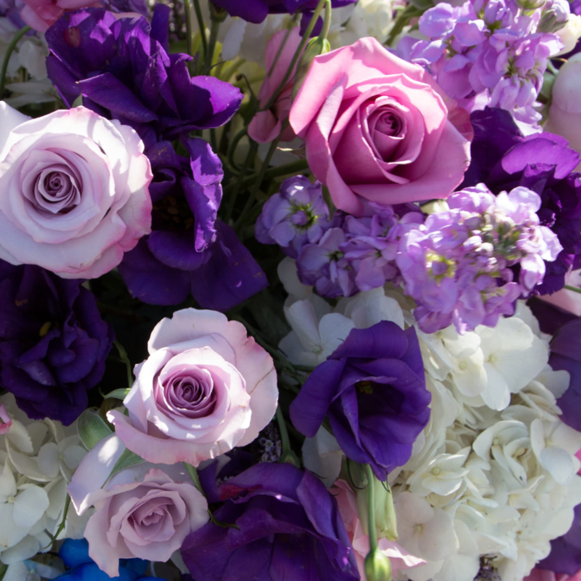 Bouquet of pink and purple roses with white and lavender flowers
