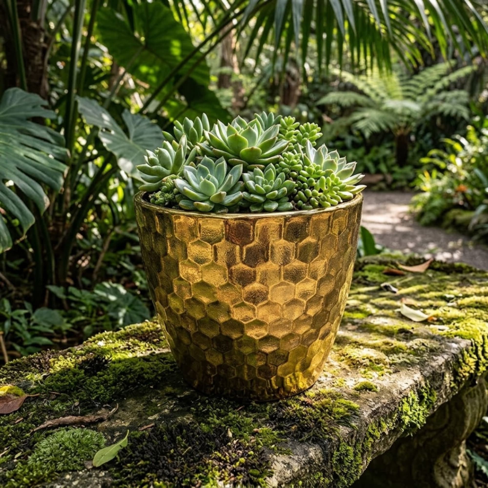 Succulent arrangement in a gold textured pot on a mossy stone ledge