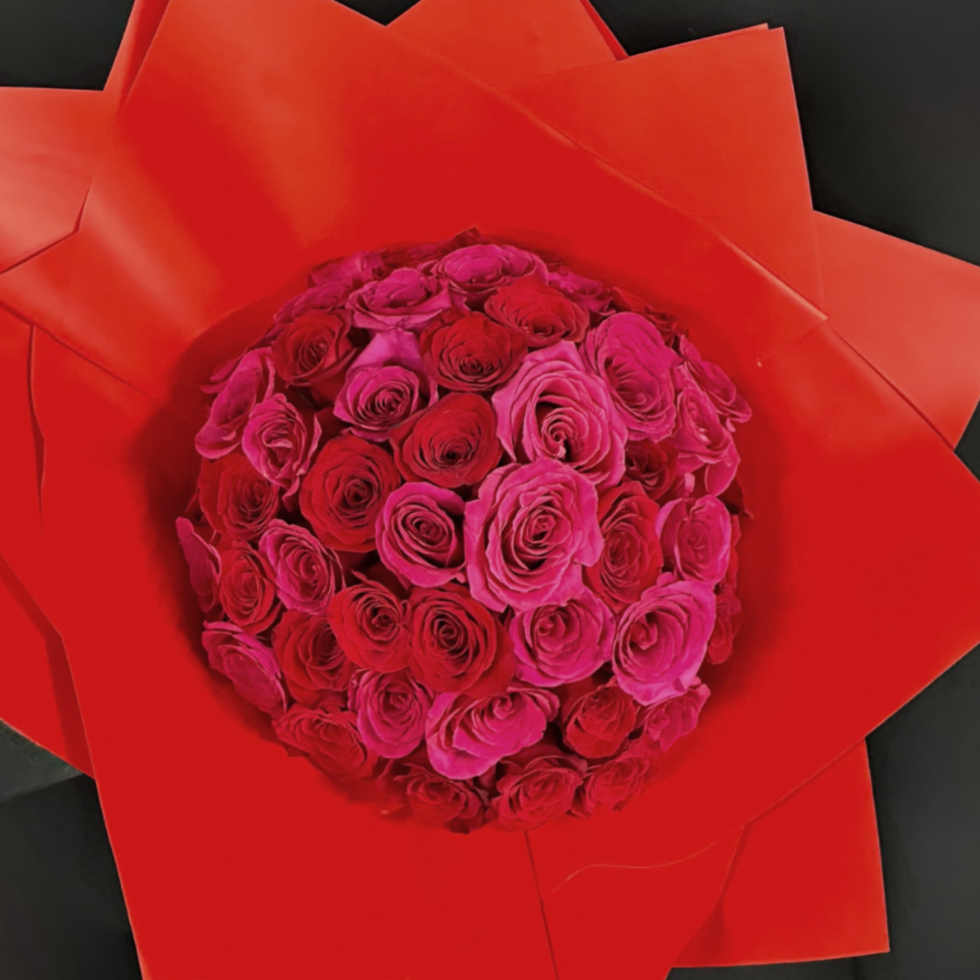 Round bouquet of pink and red roses wrapped in bright red paper